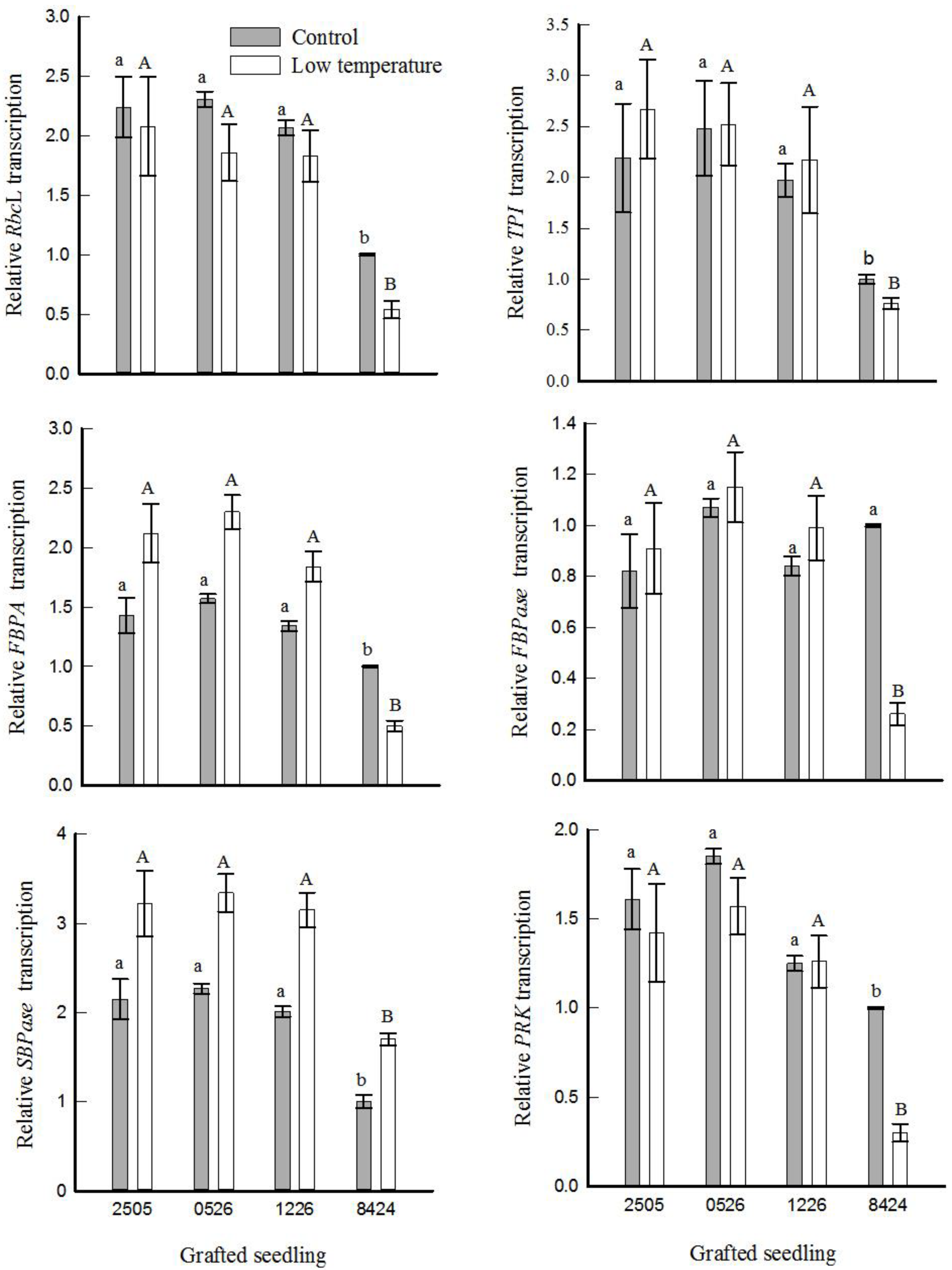 Horticulturae 07 00391 g006 Horticulturae 07 00391 g006