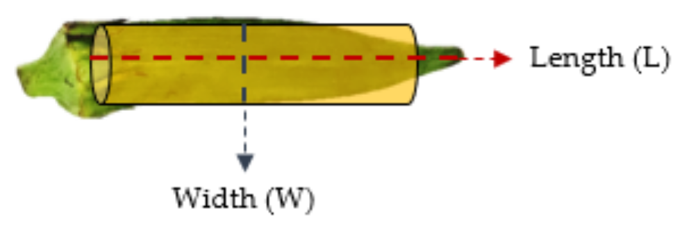 Horticulturae 07 00392 g004 Horticulturae 07 00392 g004