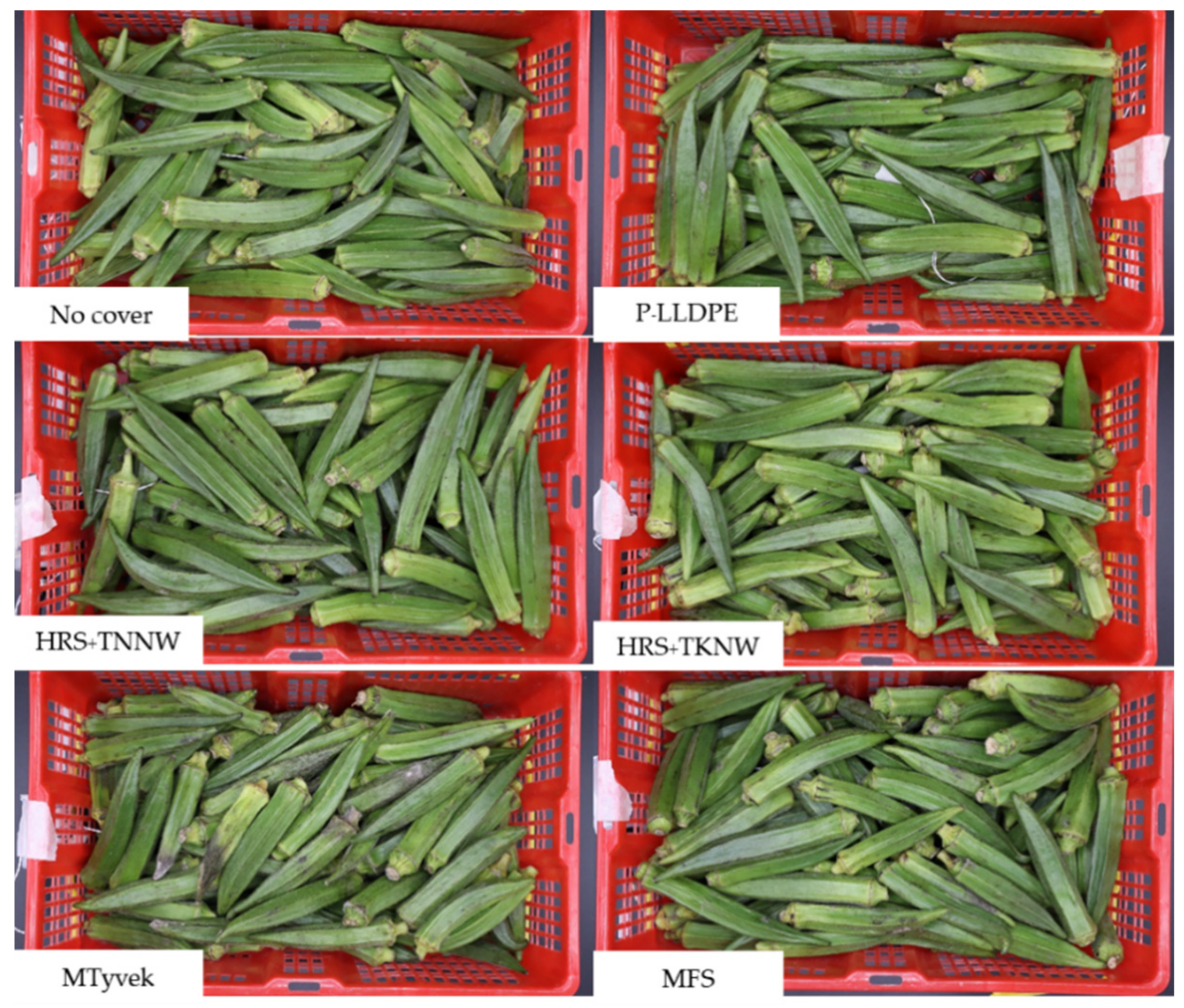 Horticulturae 07 00392 g013 Horticulturae 07 00392 g013