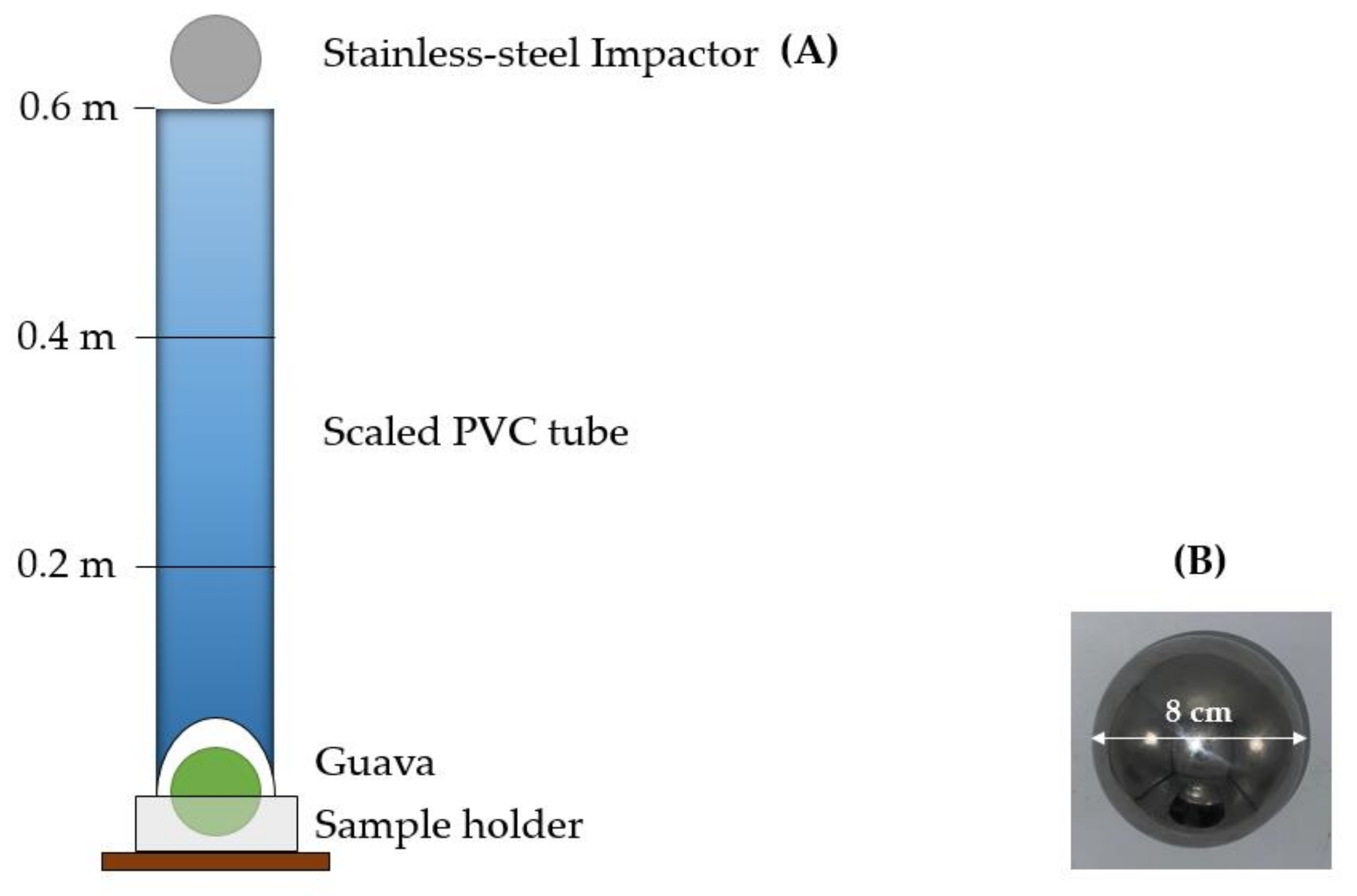 Horticulturae 07 00411 g001