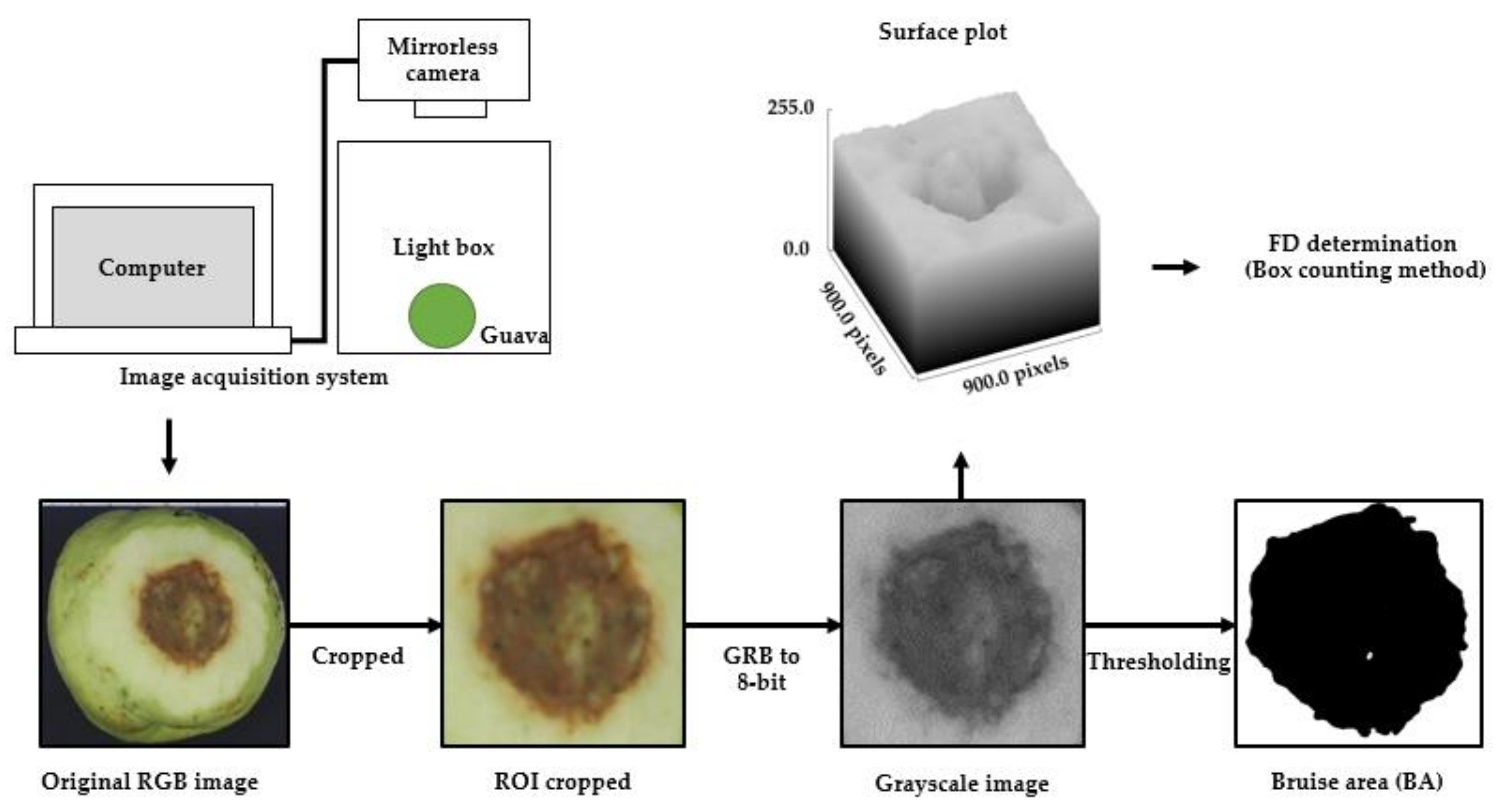 Horticulturae 07 00411 g003