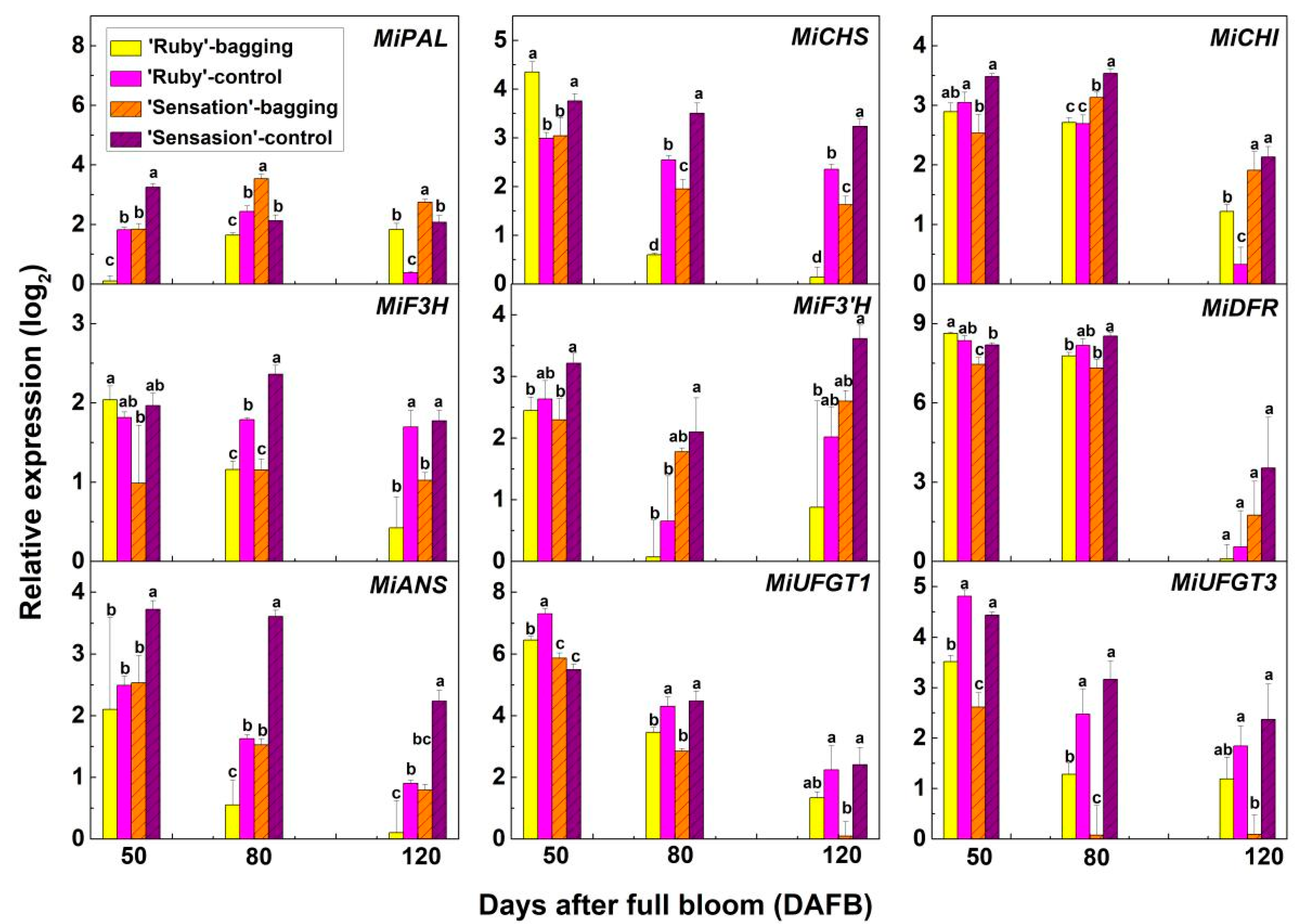 Horticulturae 07 00423 g003 Horticulturae 07 00423 g003