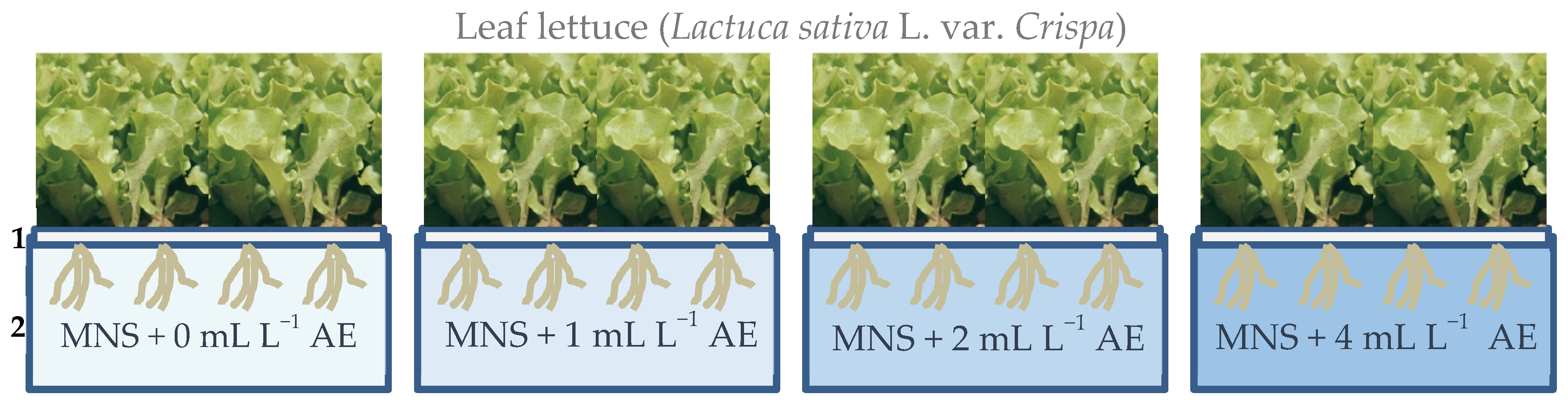 Horticulturae 07 00440 g001