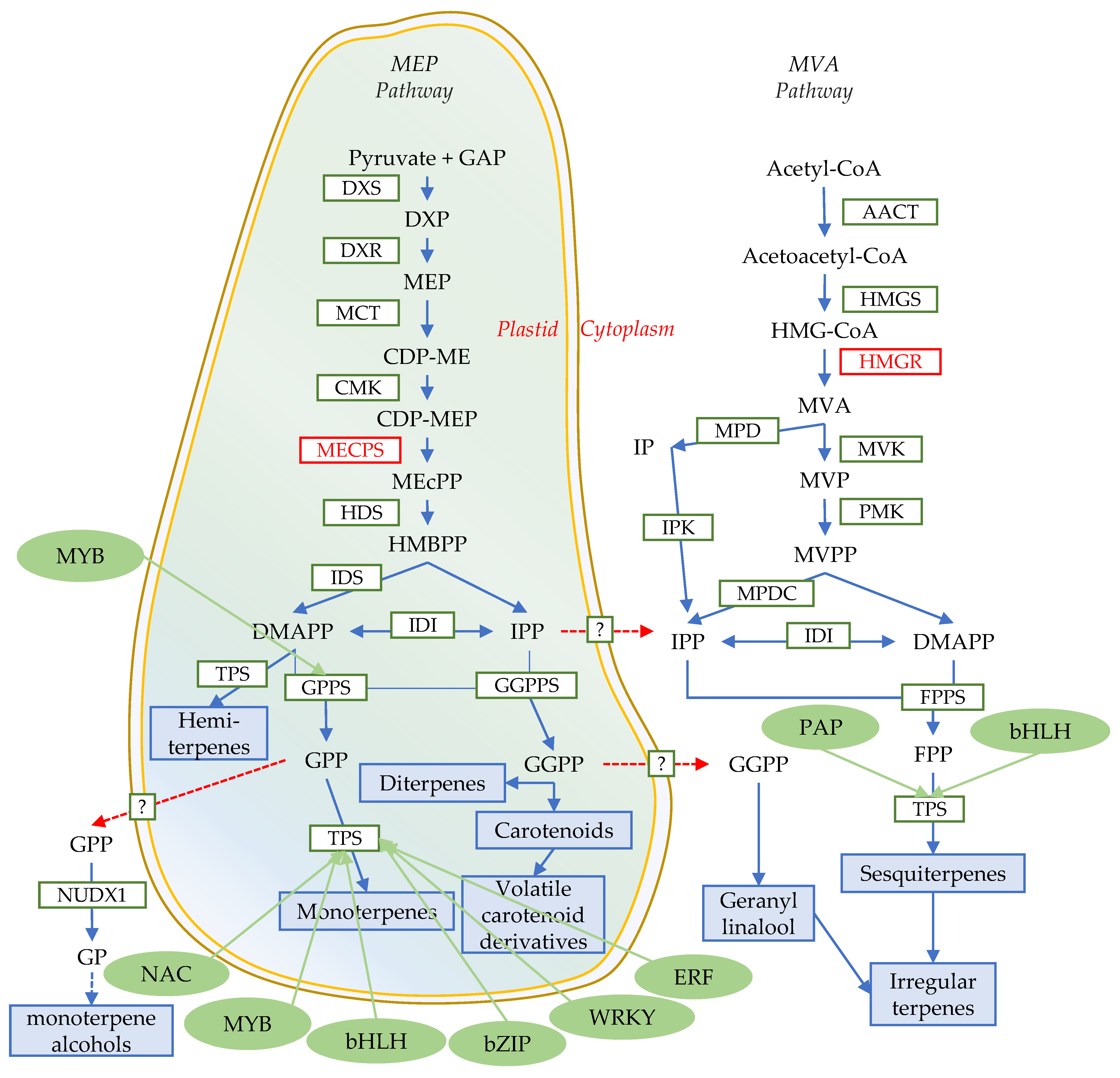 Horticulturae 07 00451 g001