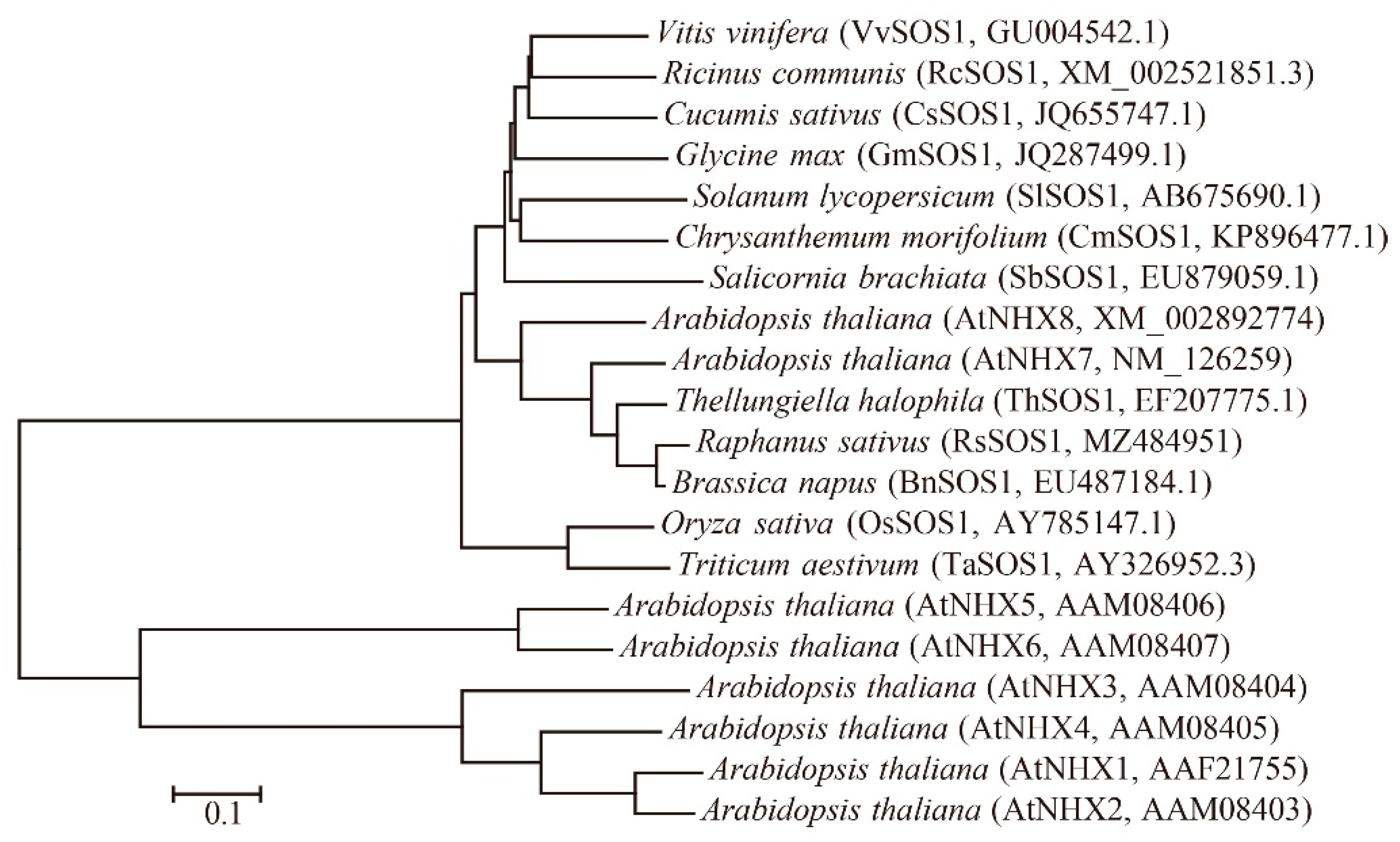 Horticulturae 07 00458 g001