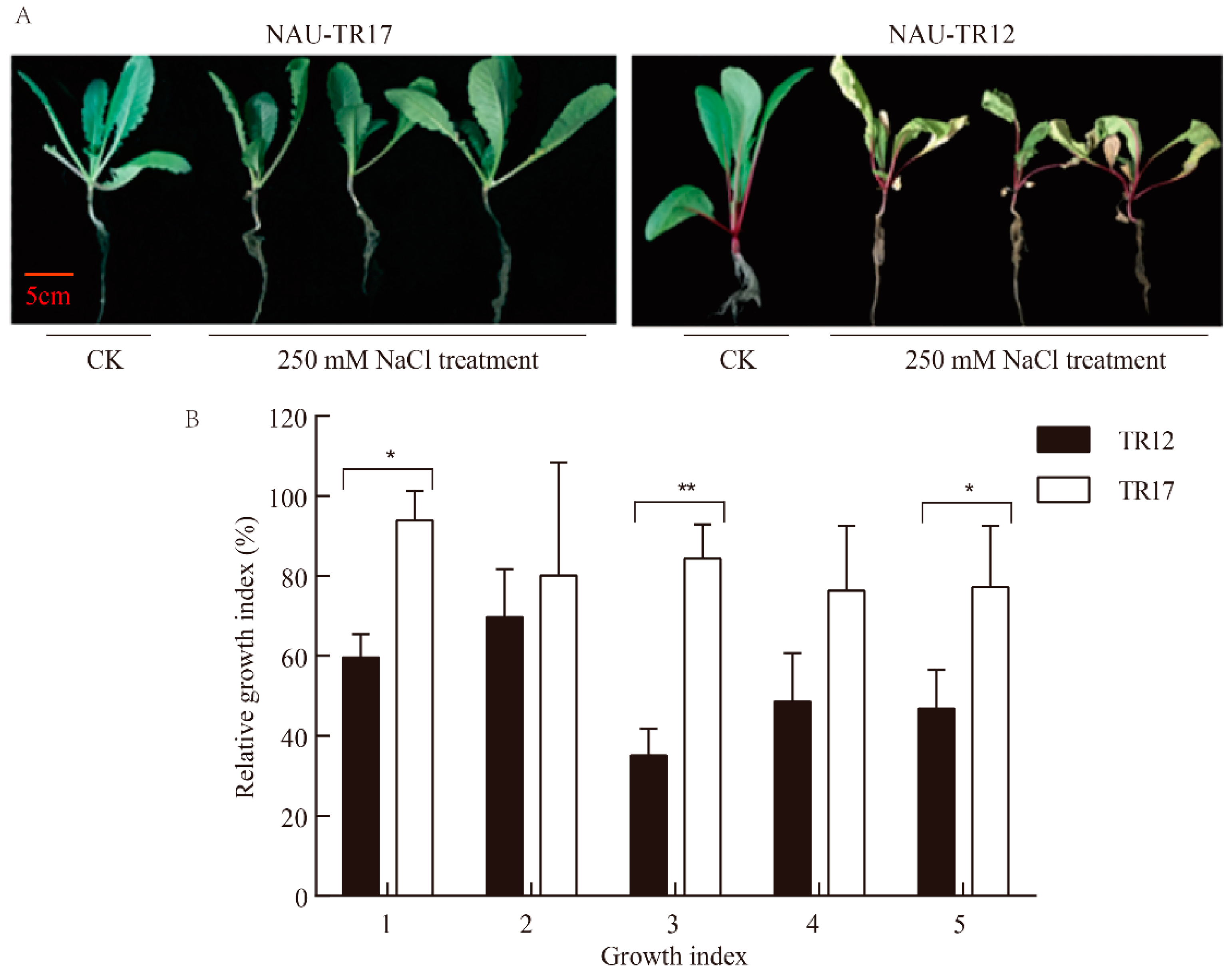 Horticulturae 07 00458 g003