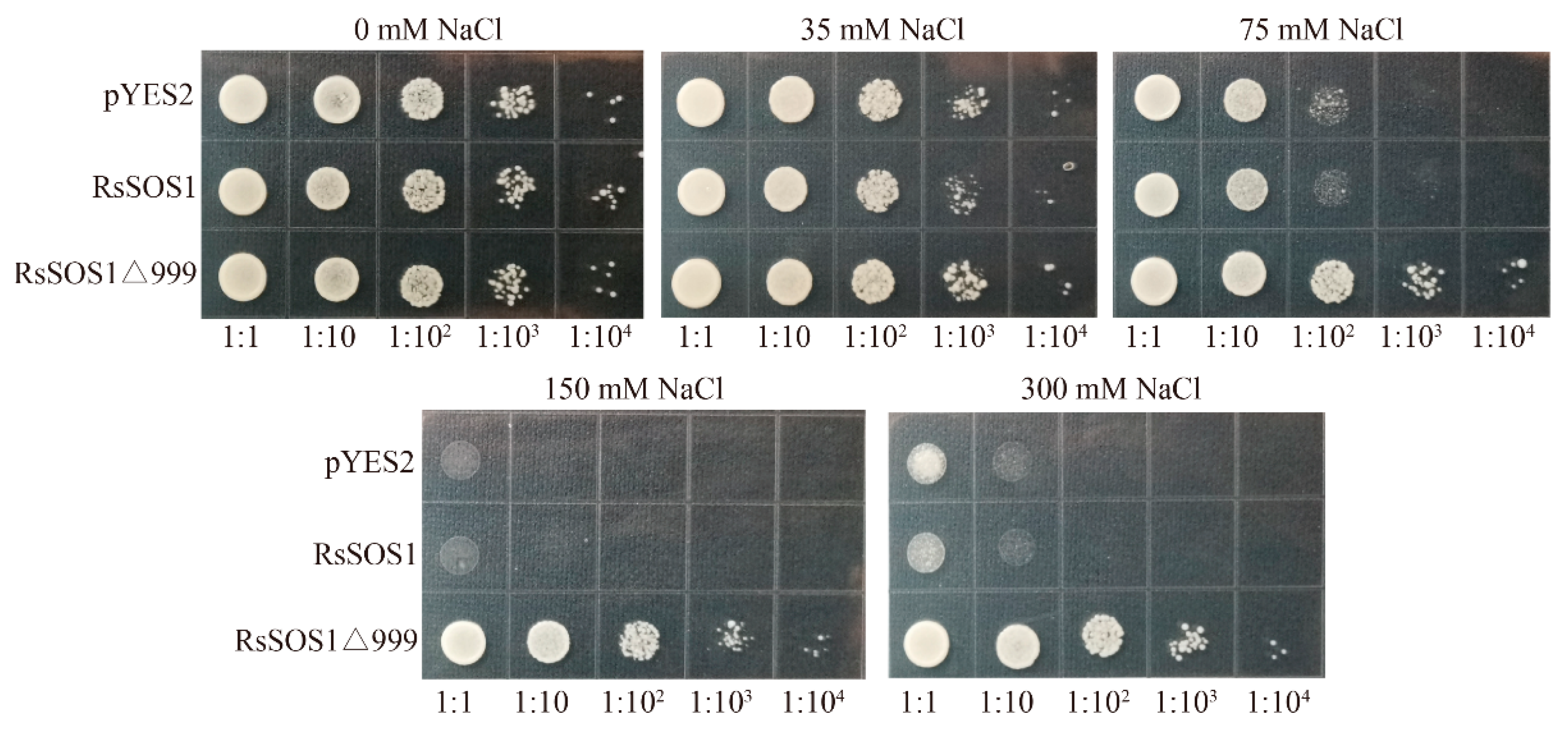 Horticulturae 07 00458 g006