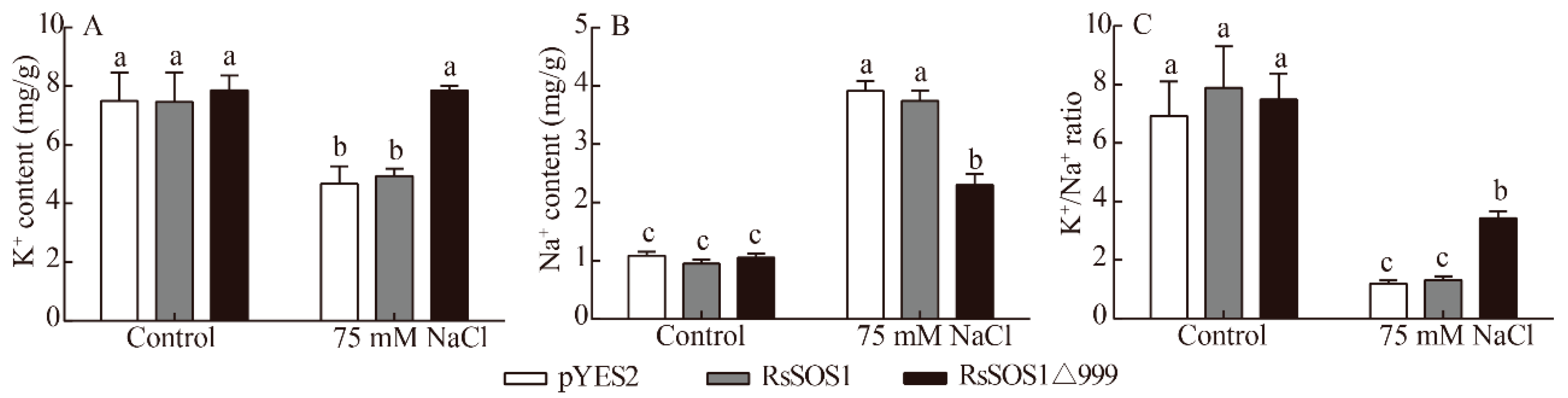 Horticulturae 07 00458 g007