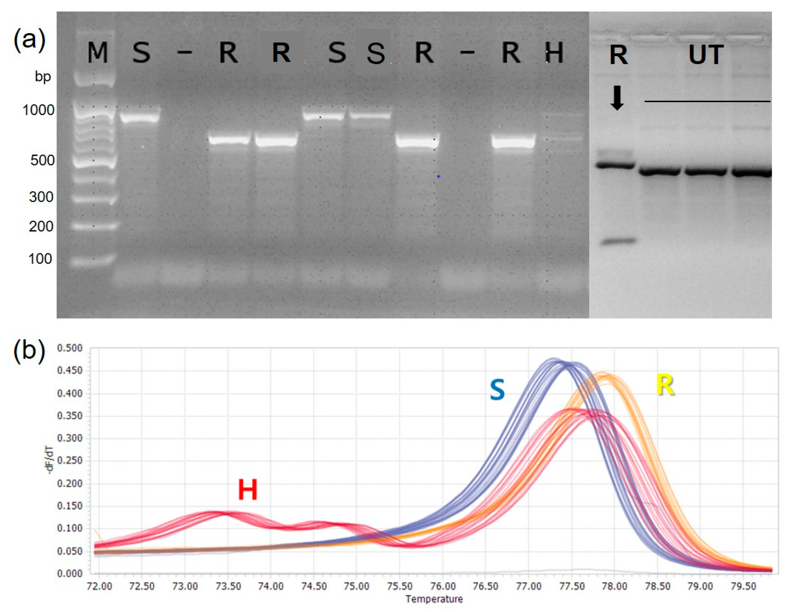Horticulturae 07 00460 g004