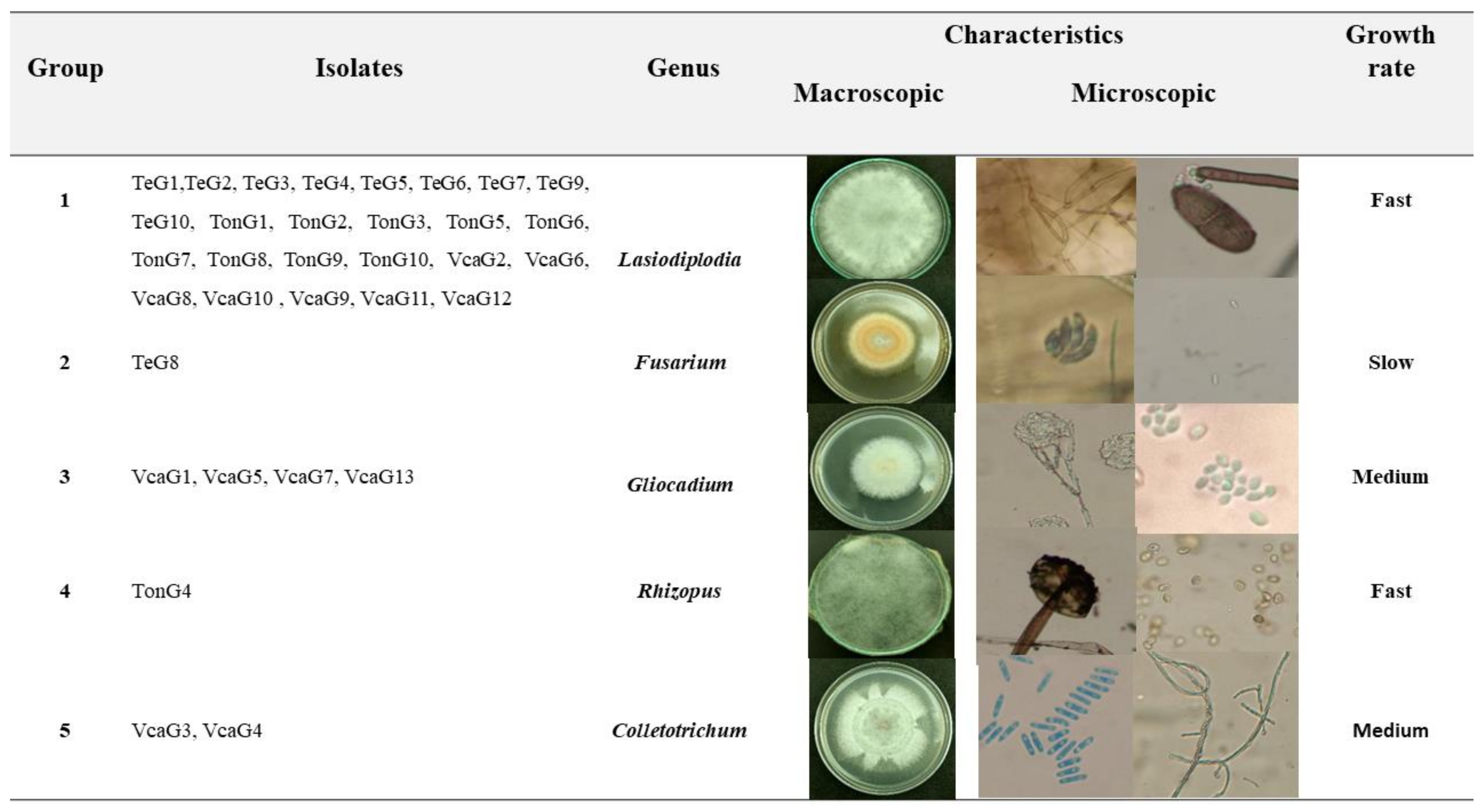 Horticulturae 07 00471 g001