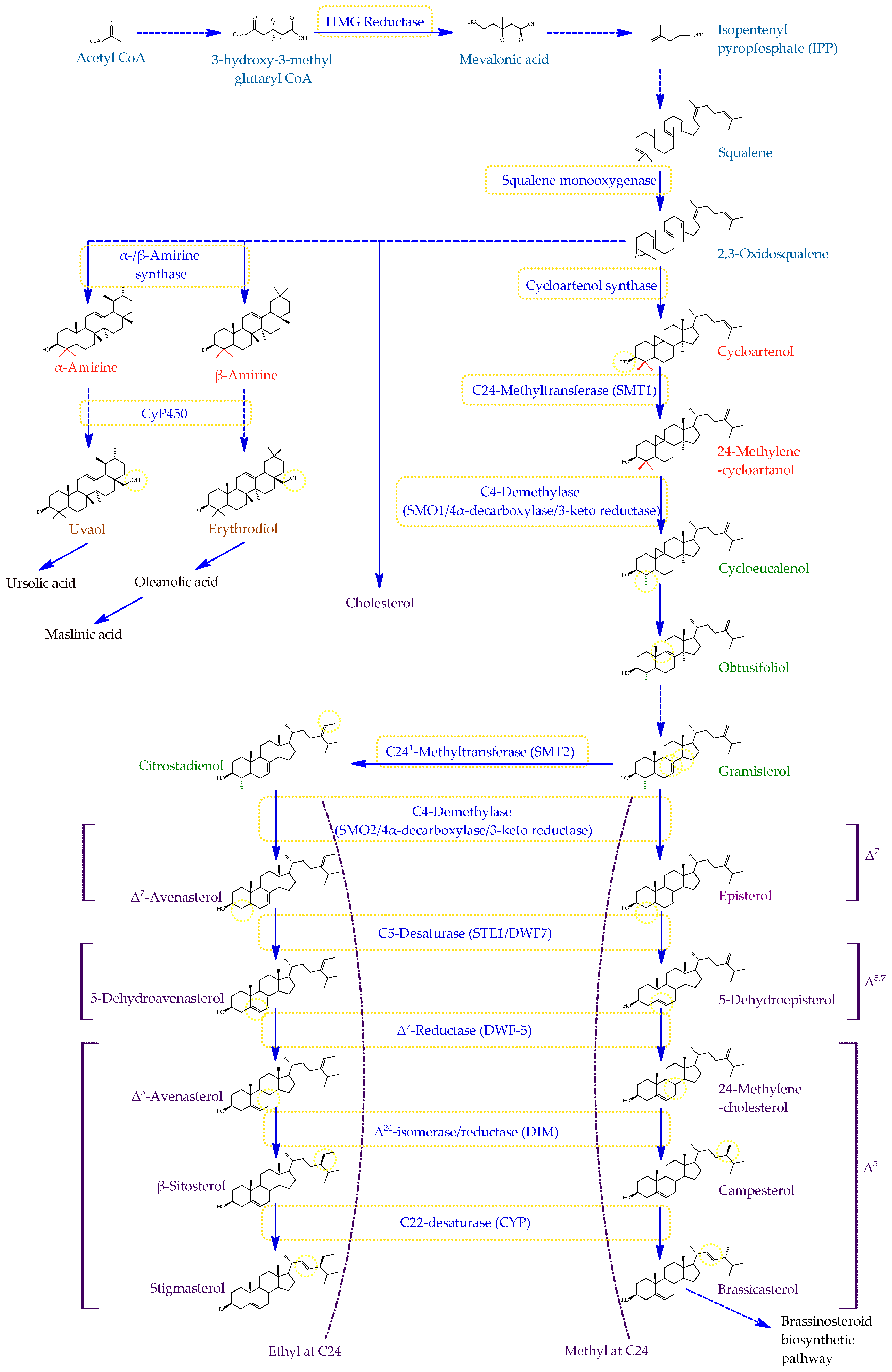 Horticulturae 07 00493 g002