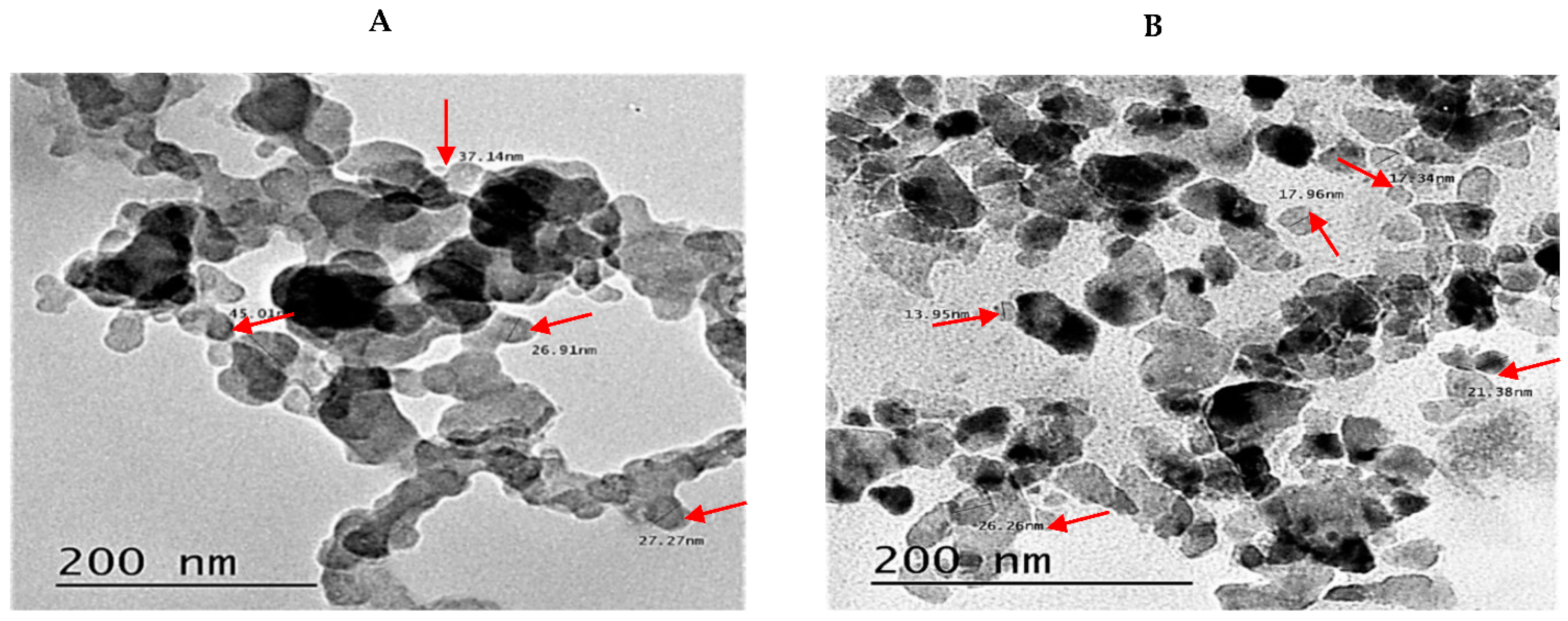 Horticulturae 07 00499 g003