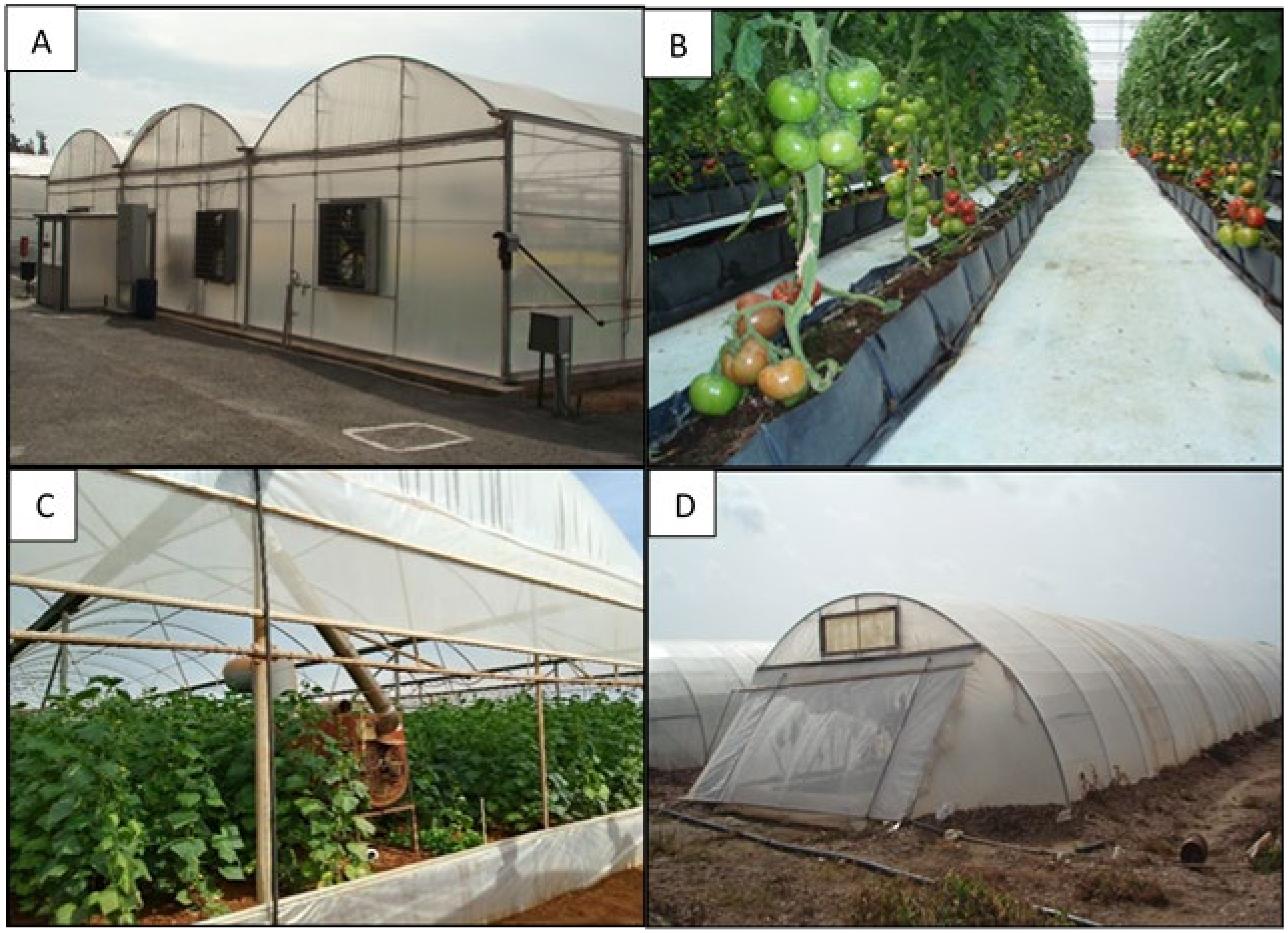 Horticulturae 07 00521 g004