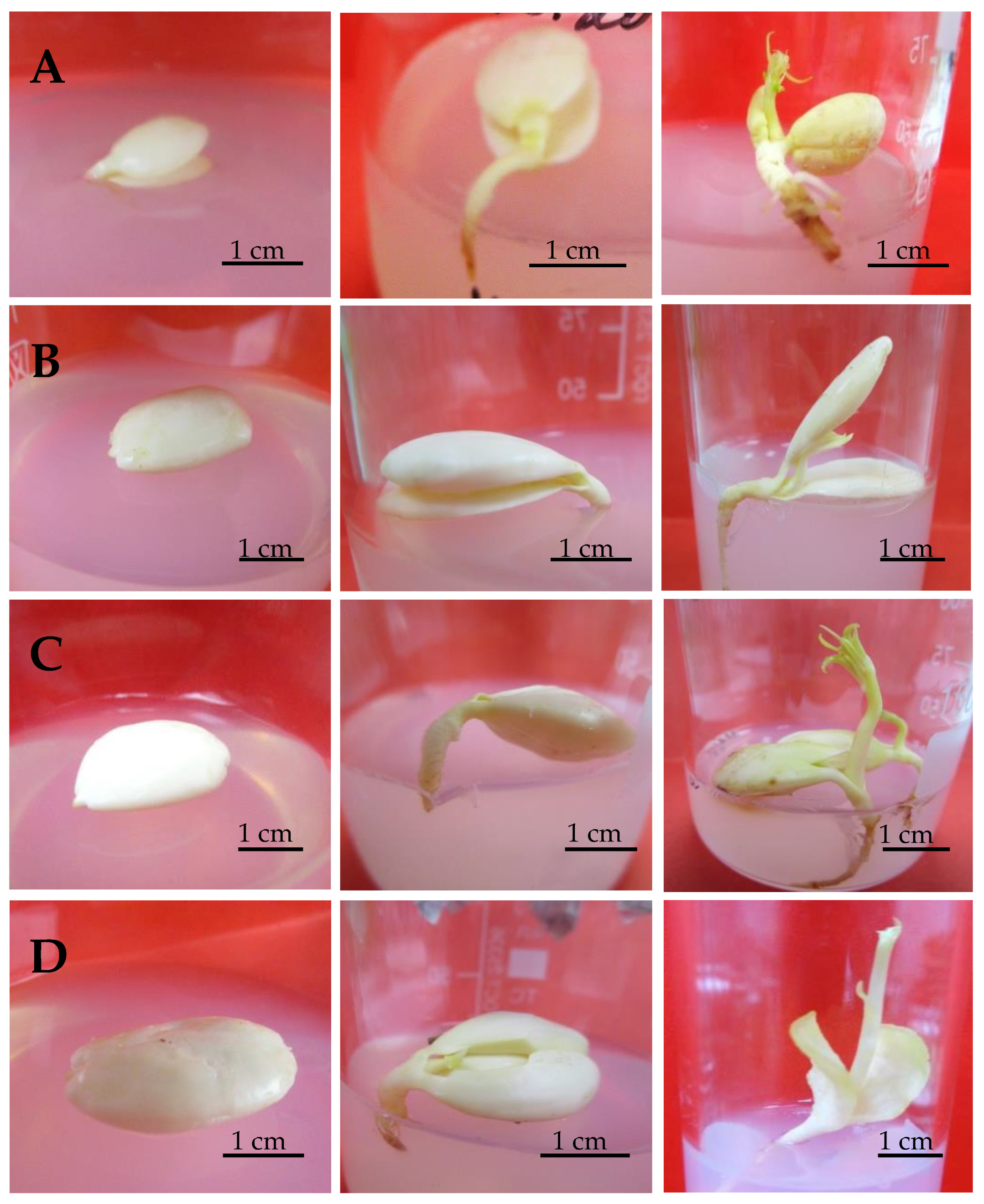 Horticulturae 07 00533 g001