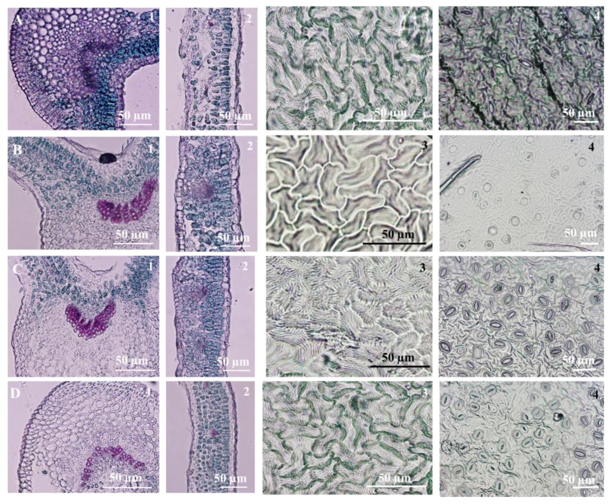 Horticulturae 07 00533 g005