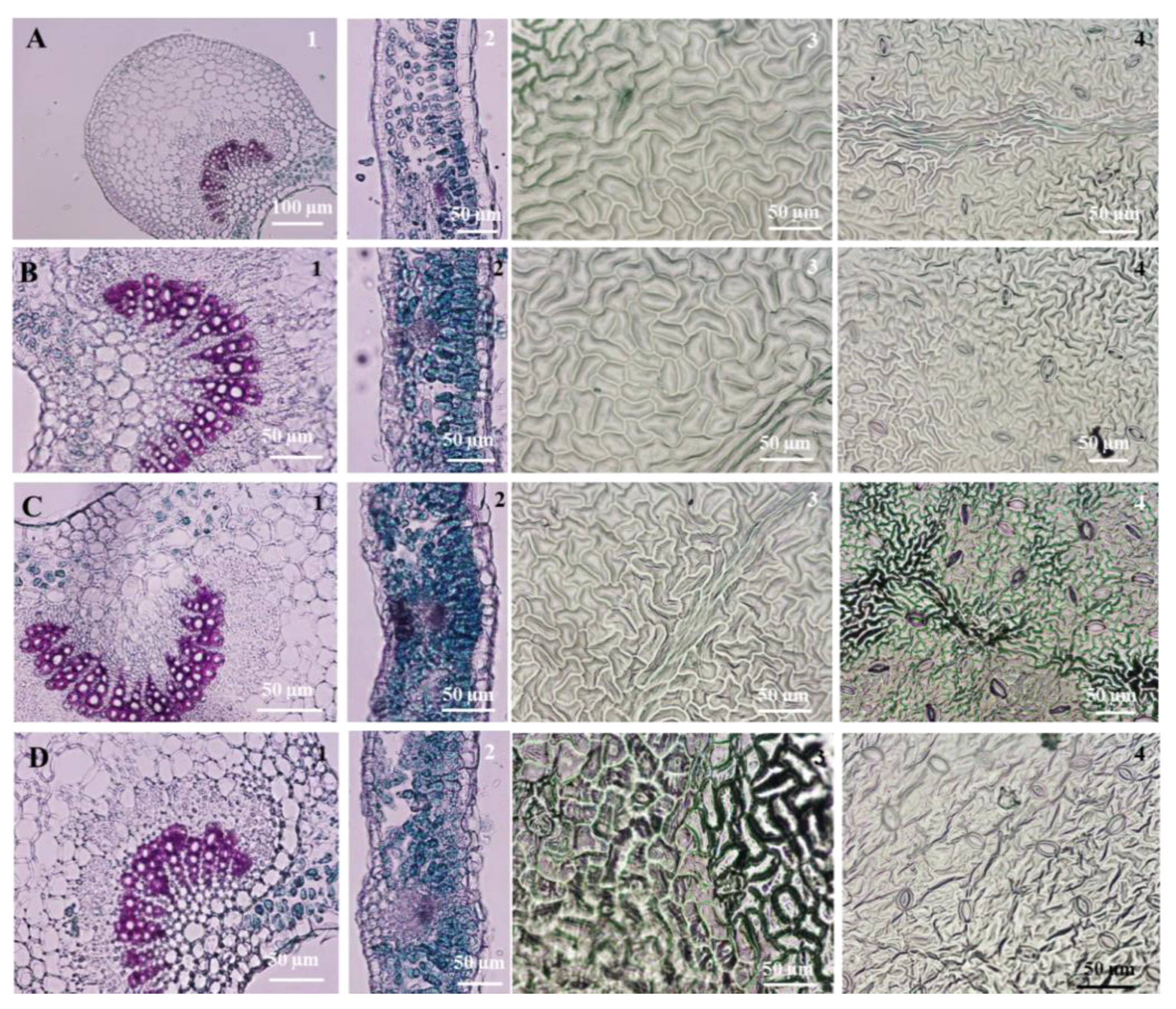 Horticulturae 07 00533 g006