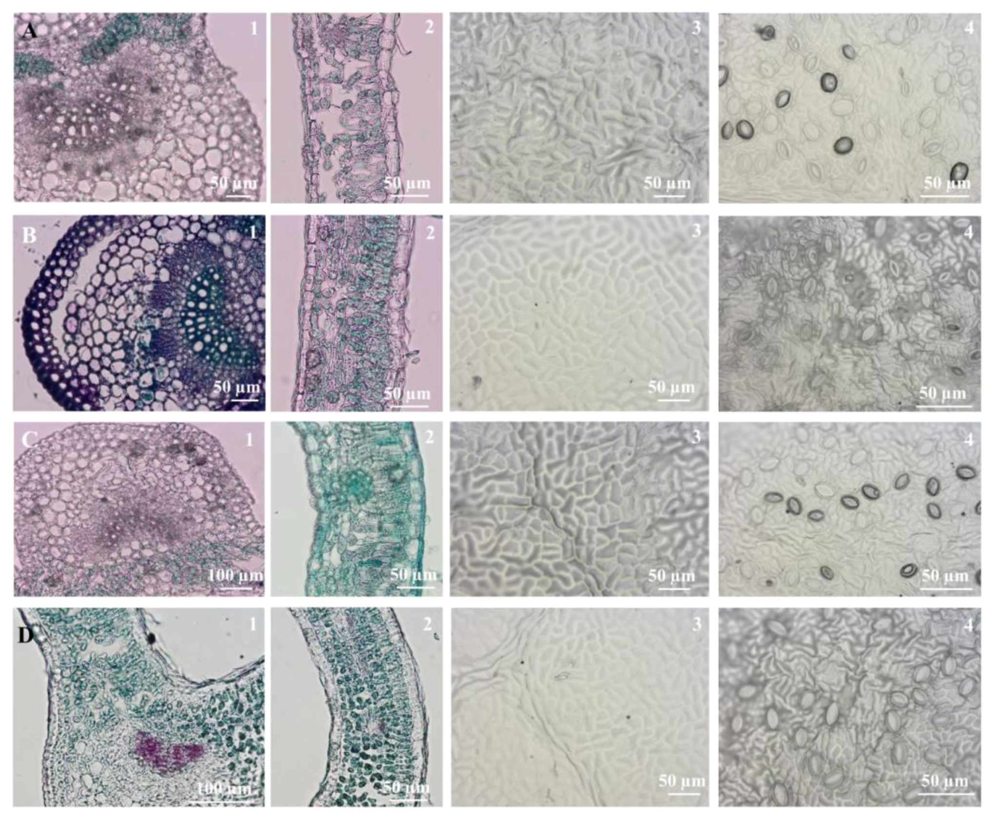 Horticulturae 07 00533 g007