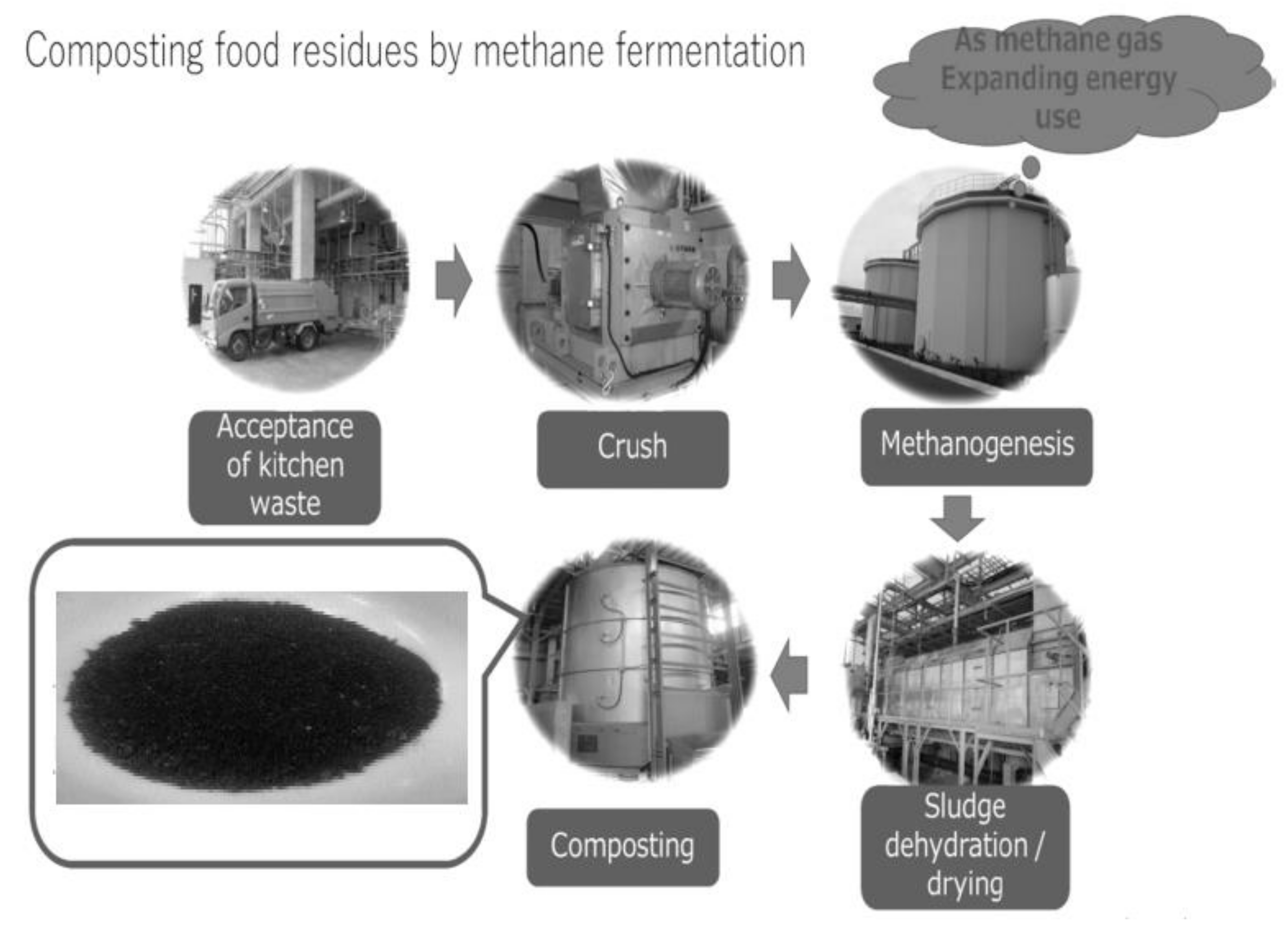 Horticulturae 07 00551 g001