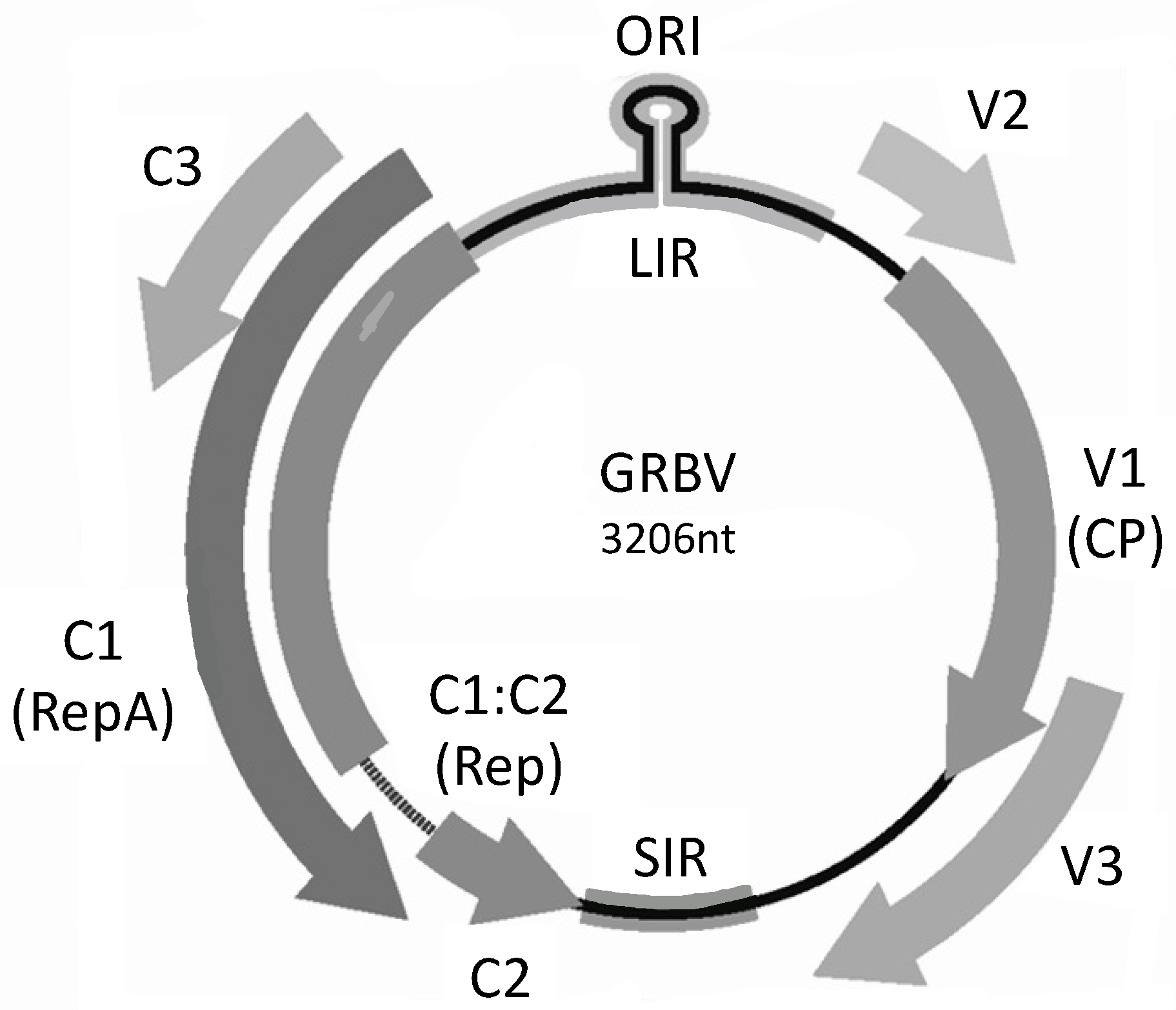 Horticulturae 07 00552 g001