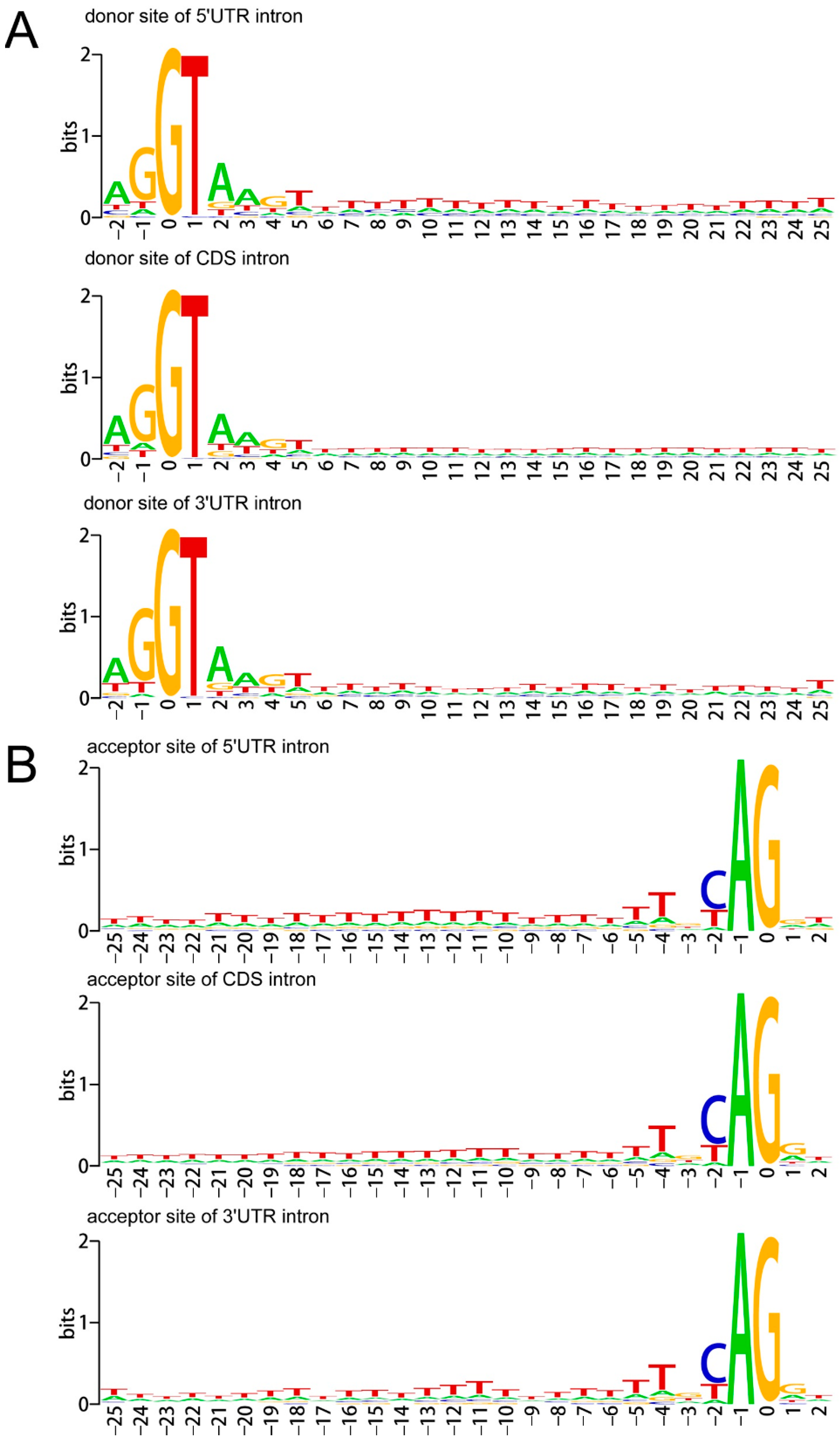 Horticulturae 07 00556 g002