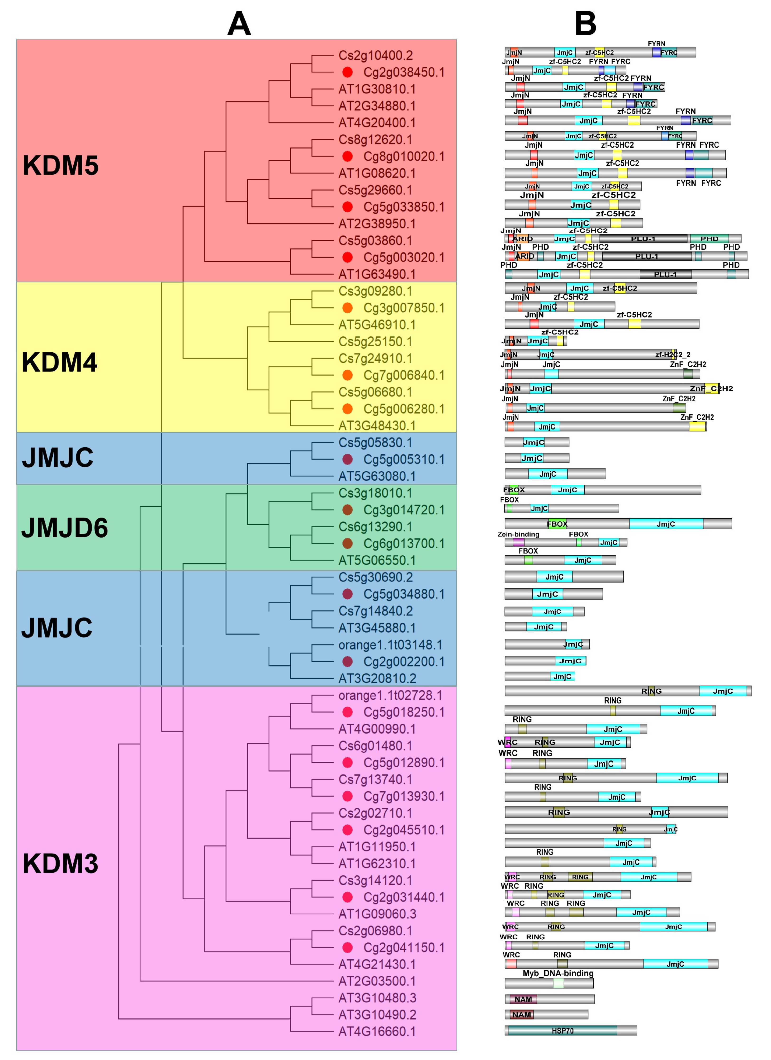 Horticulturae 07 00592 g002