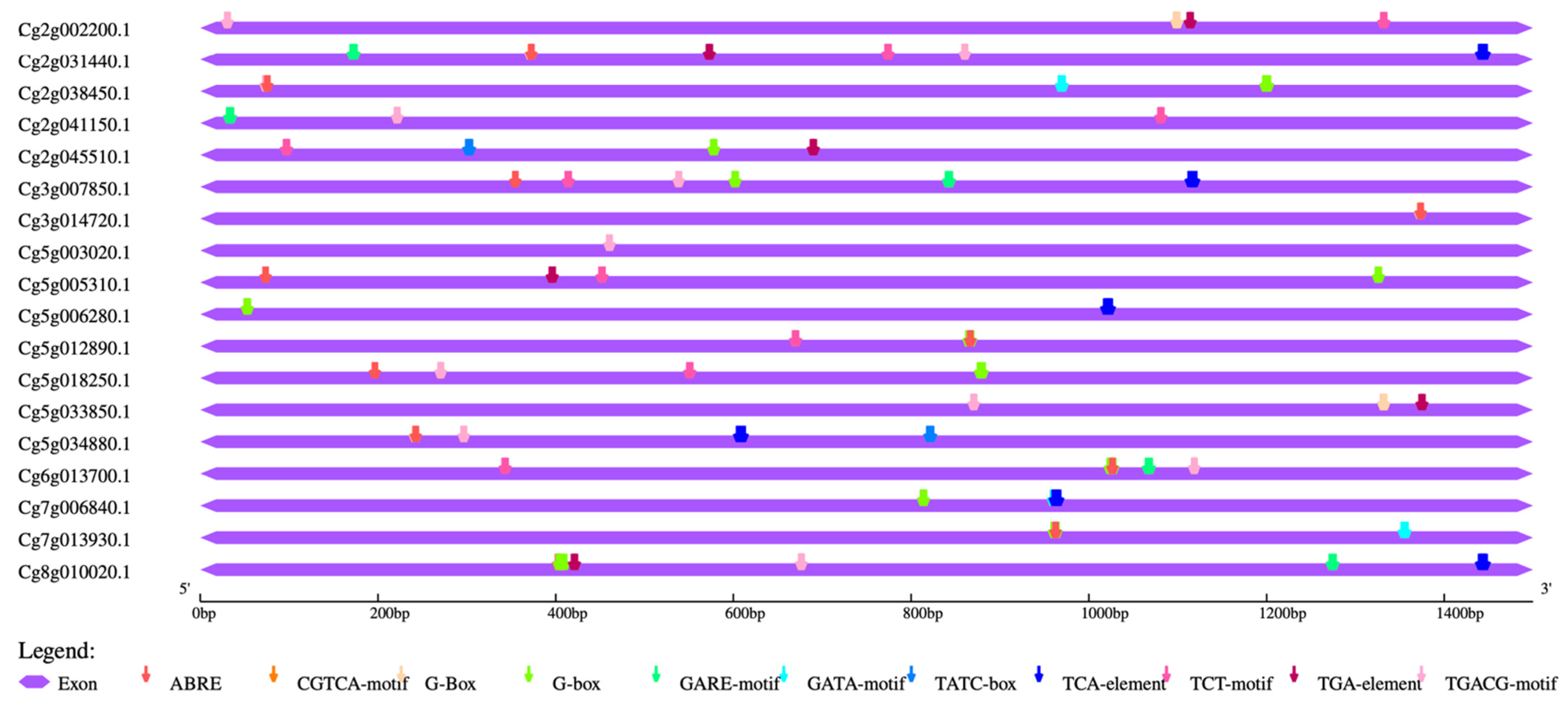 Horticulturae 07 00592 g004