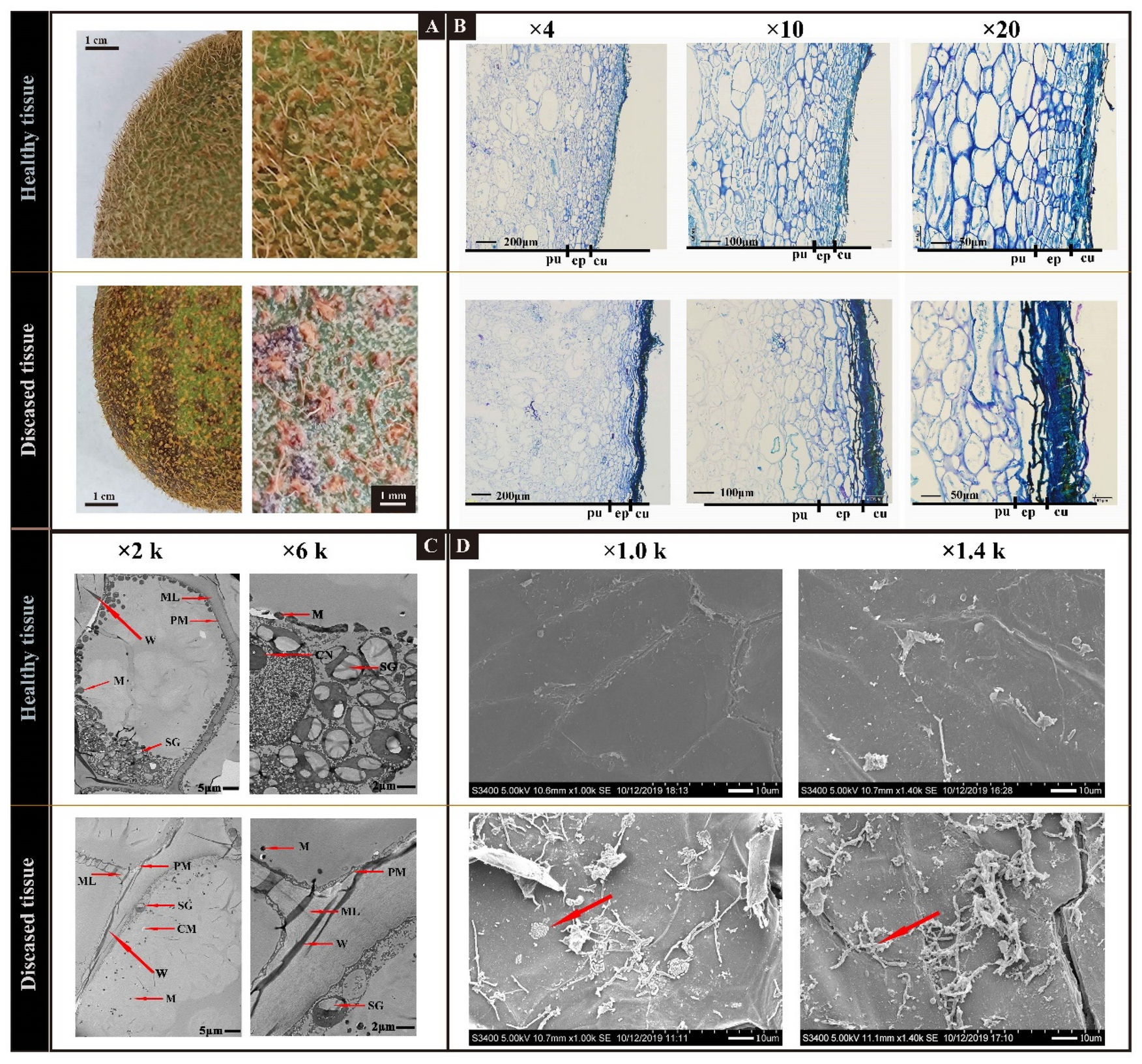Horticulturae 08 00013 g001