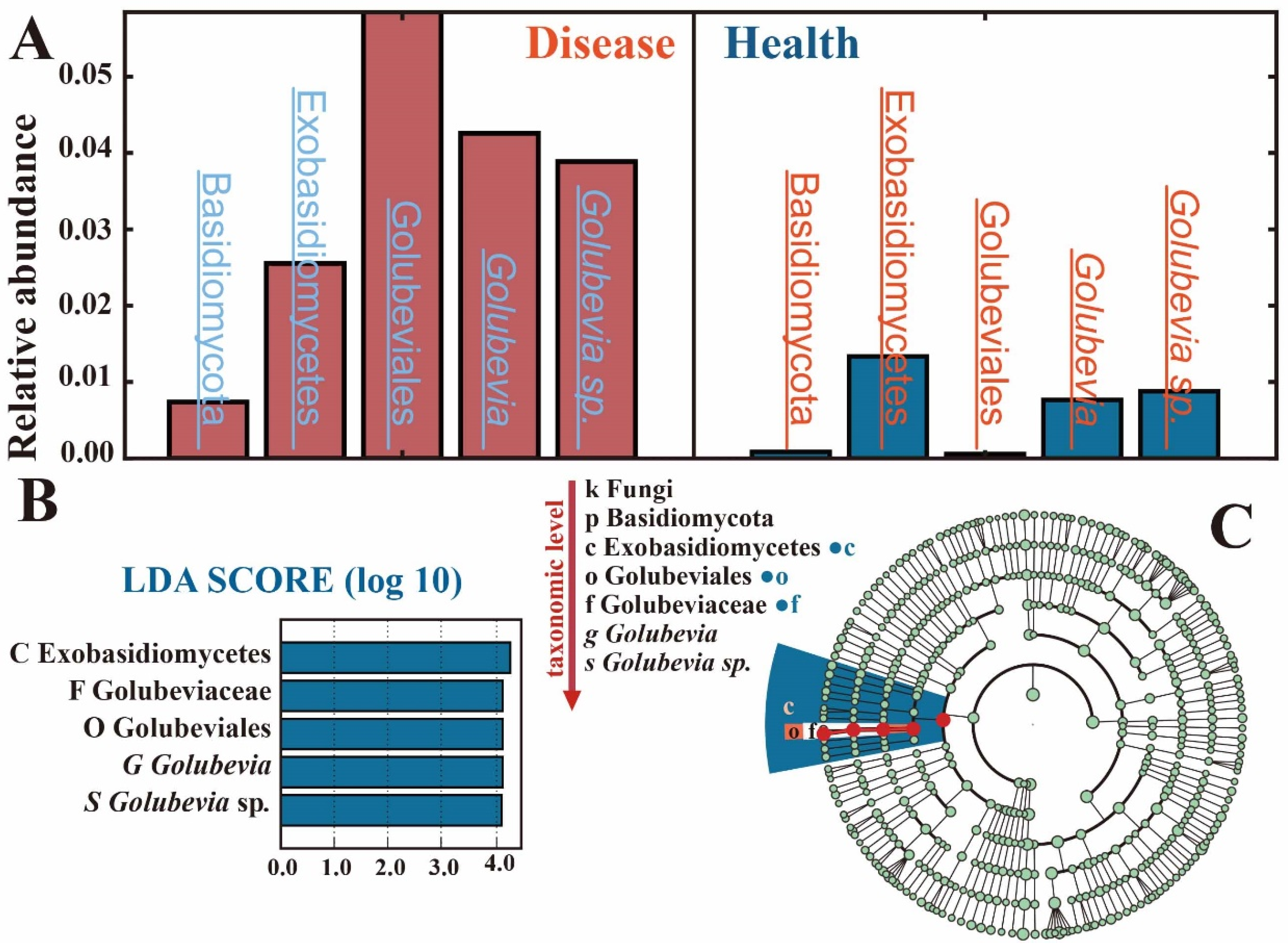 Horticulturae 08 00013 g005