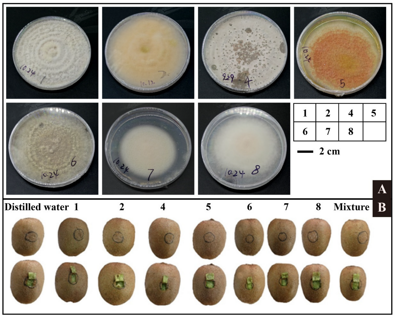Horticulturae 08 00013 g006
