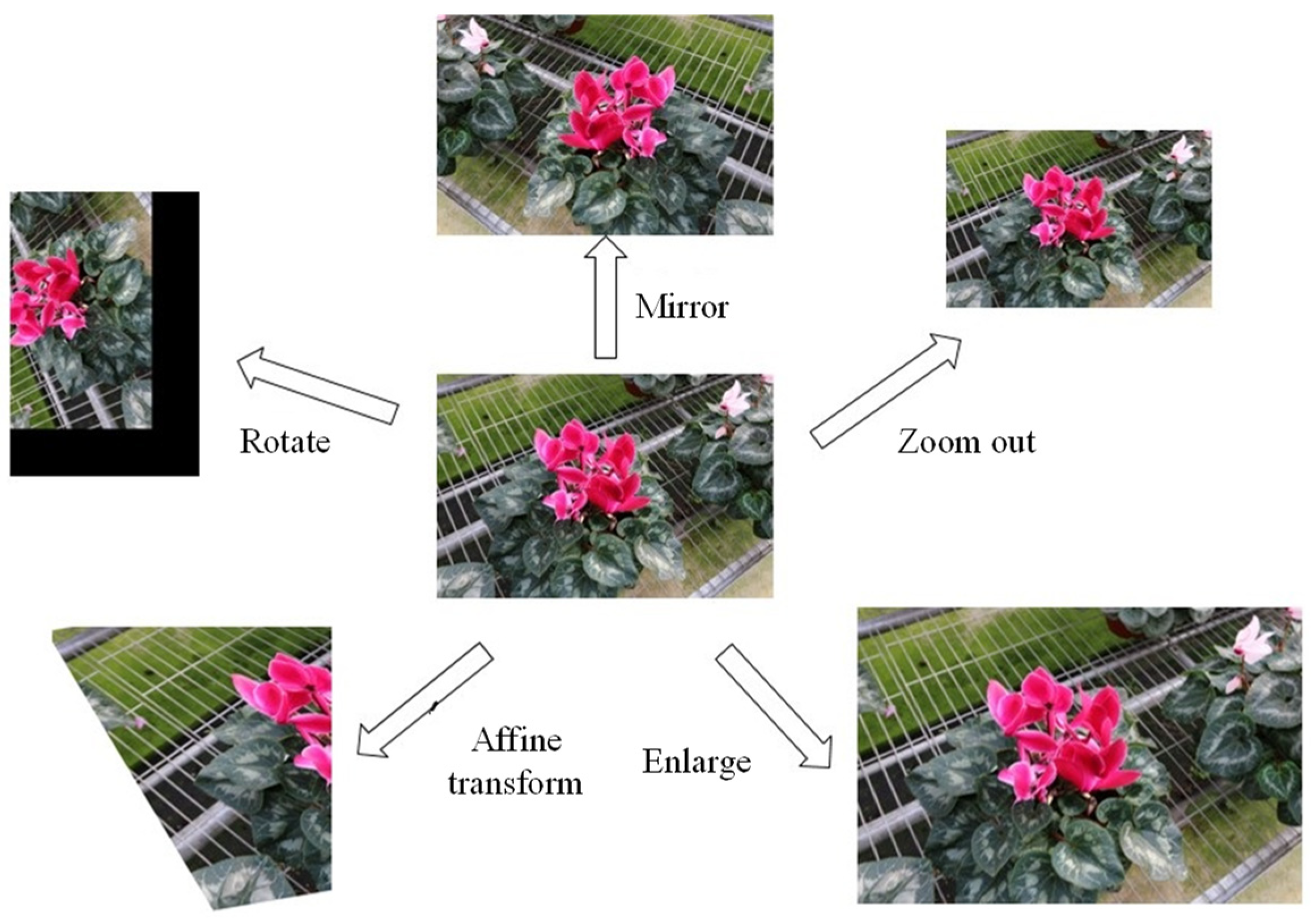 Horticulturae 08 00021 g003
