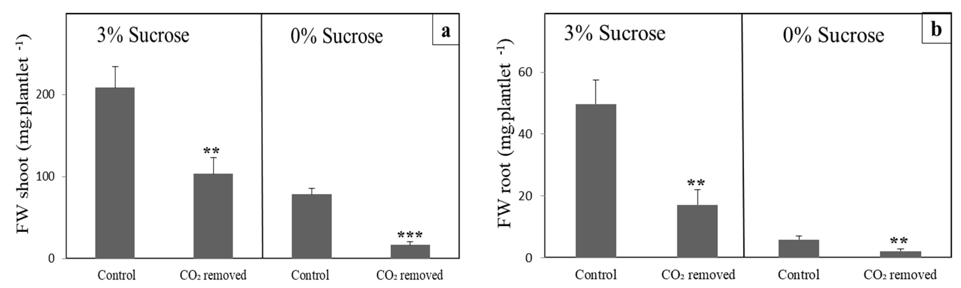 Horticulturae 08 00044 g003 Horticulturae 08 00044 g003