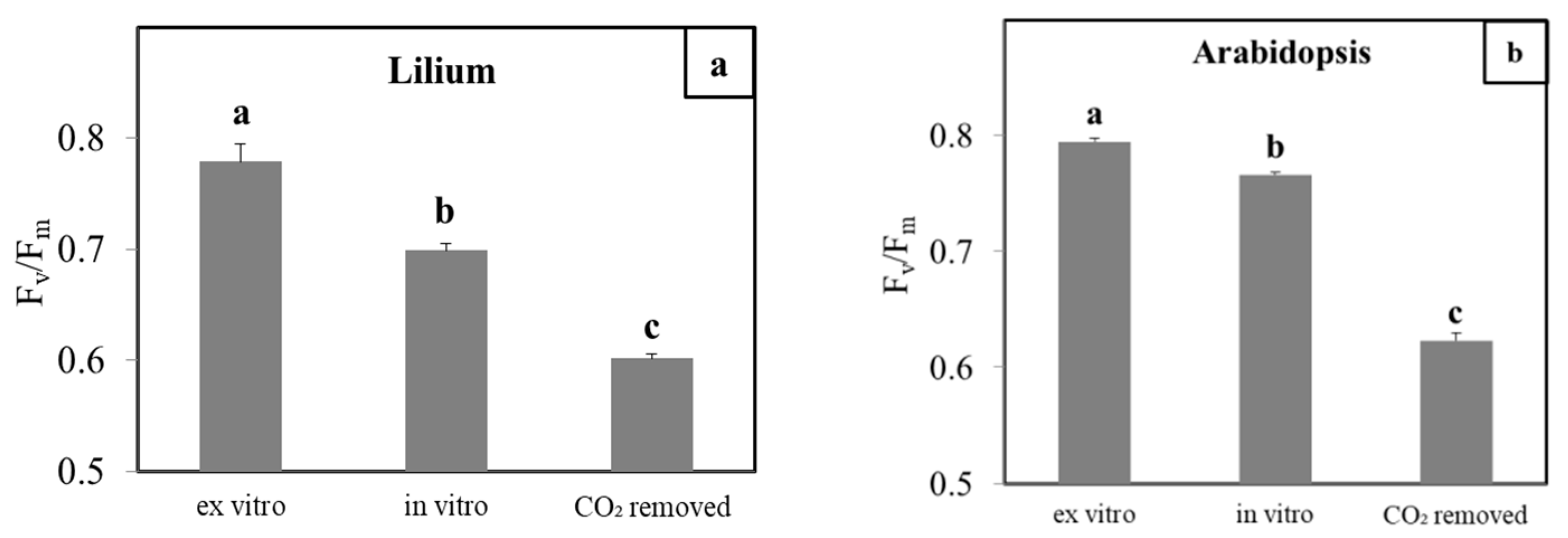 Horticulturae 08 00044 g006 Horticulturae 08 00044 g006