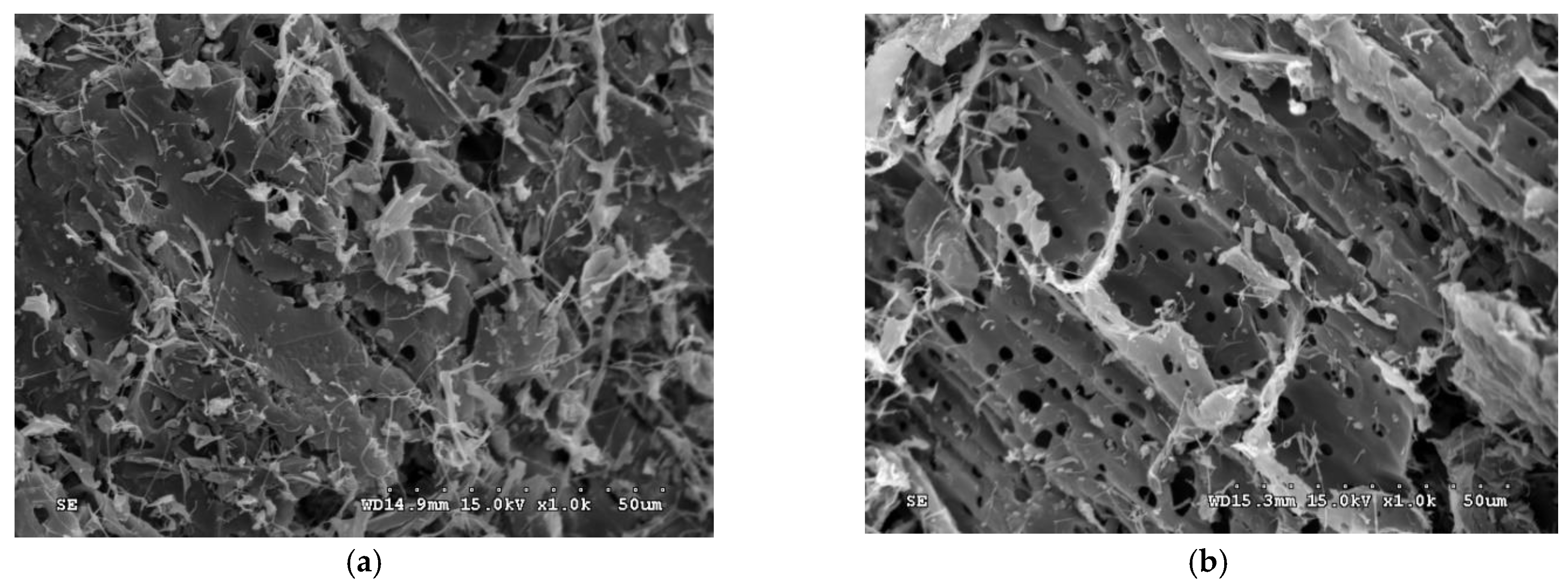 Horticulturae 08 00046 g006