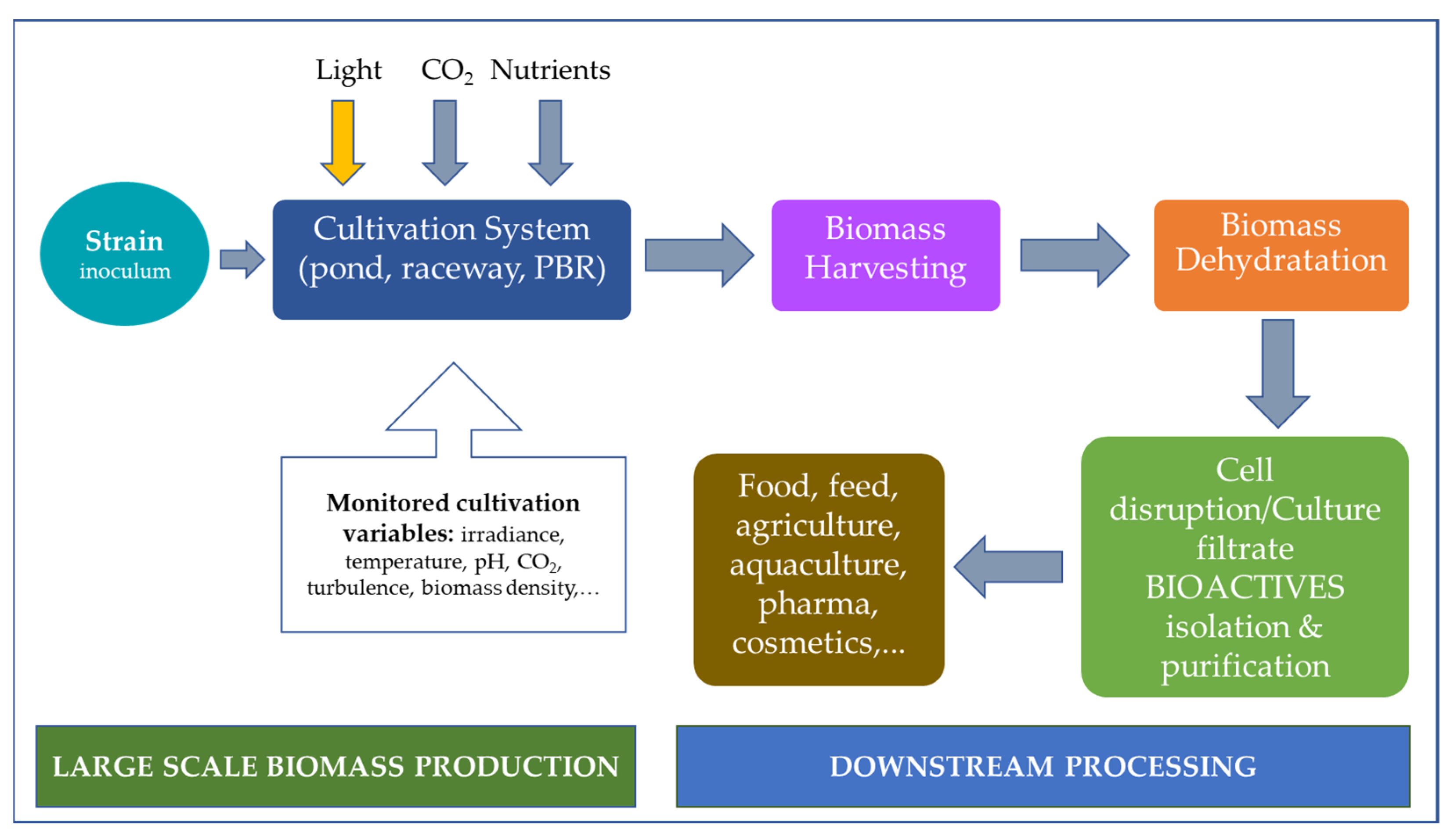 Horticulturae 08 00058 g003