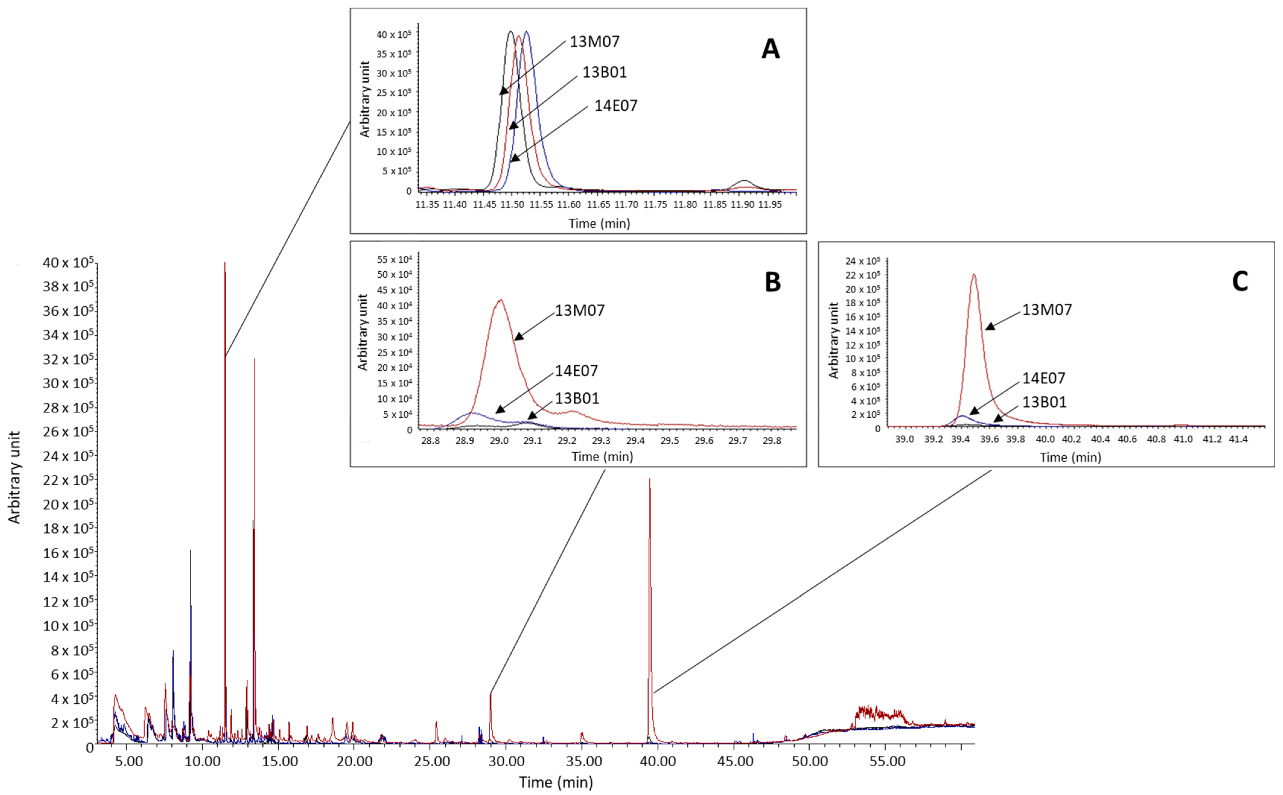 Horticulturae 08 00065 g003
