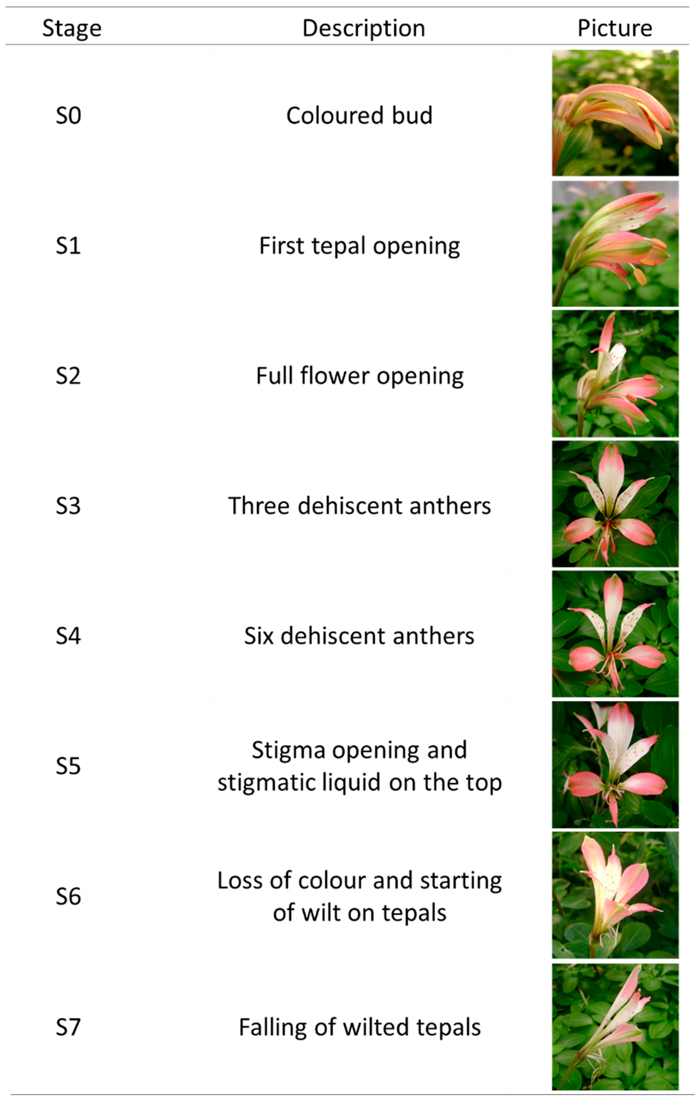 Horticulturae 08 00065 g0a1