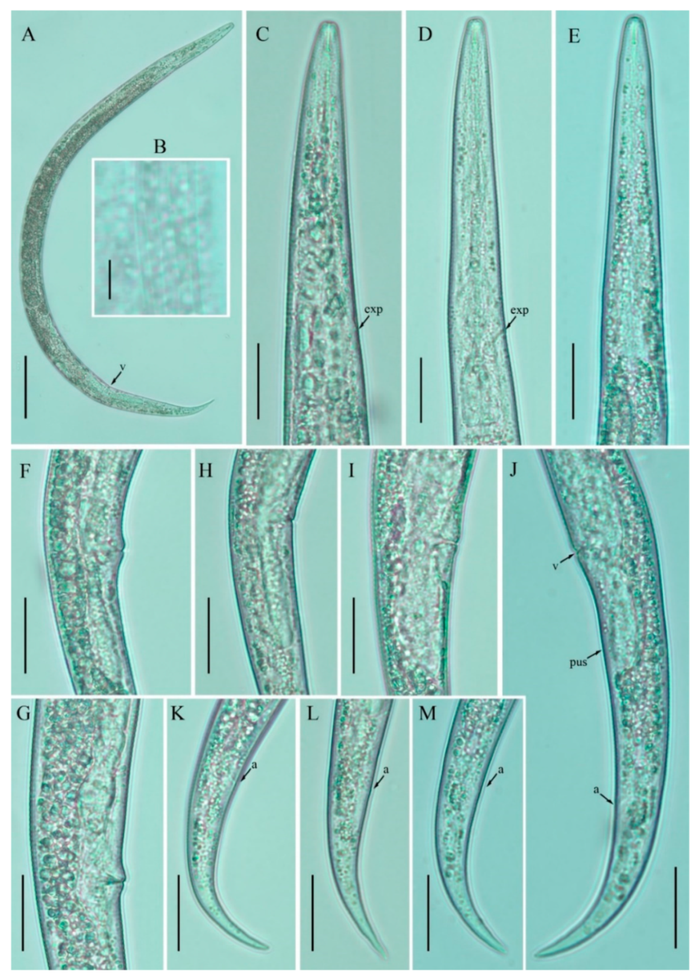 Horticulturae 08 00074 g001