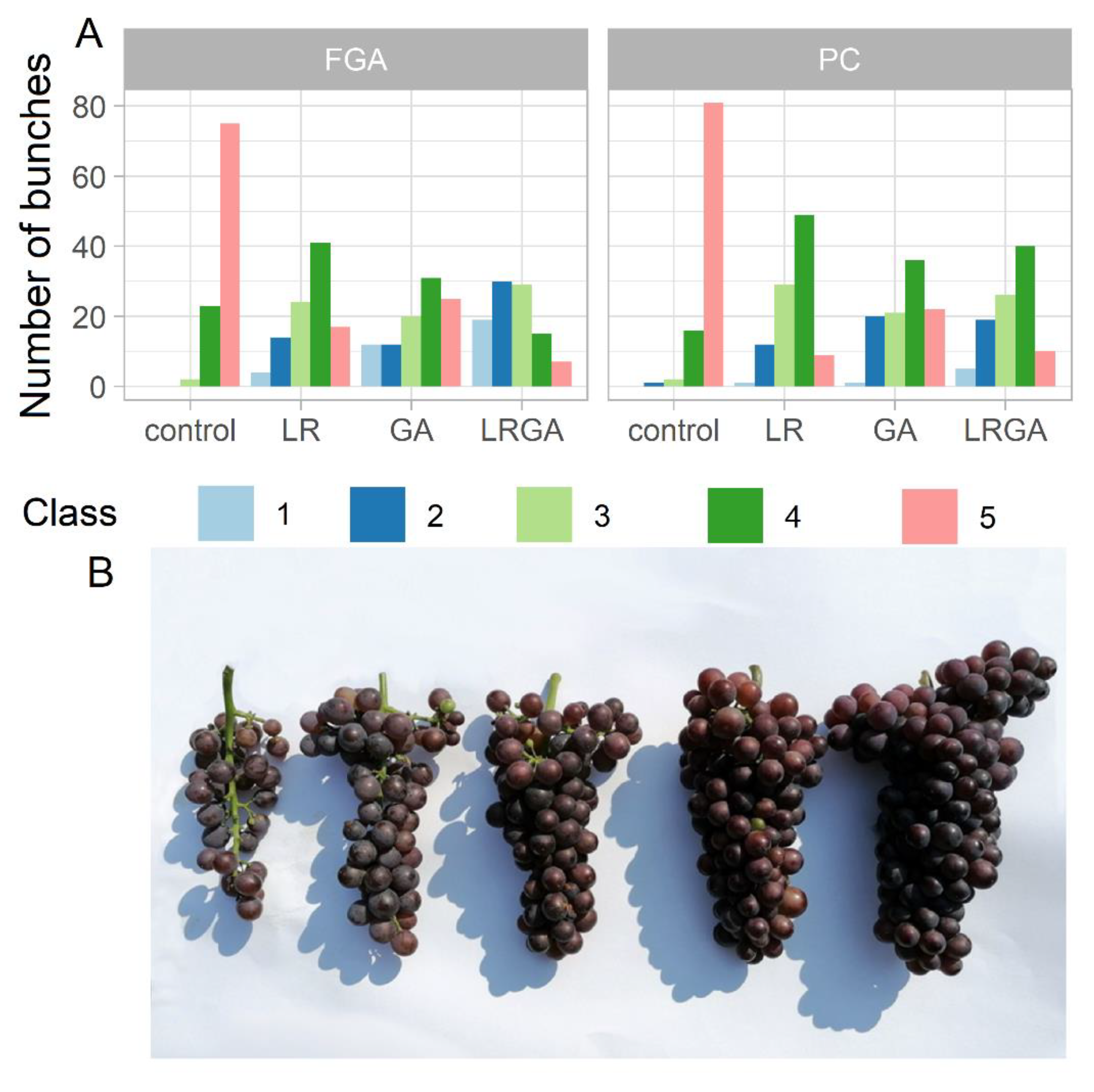 Horticulturae 08 00081 g005