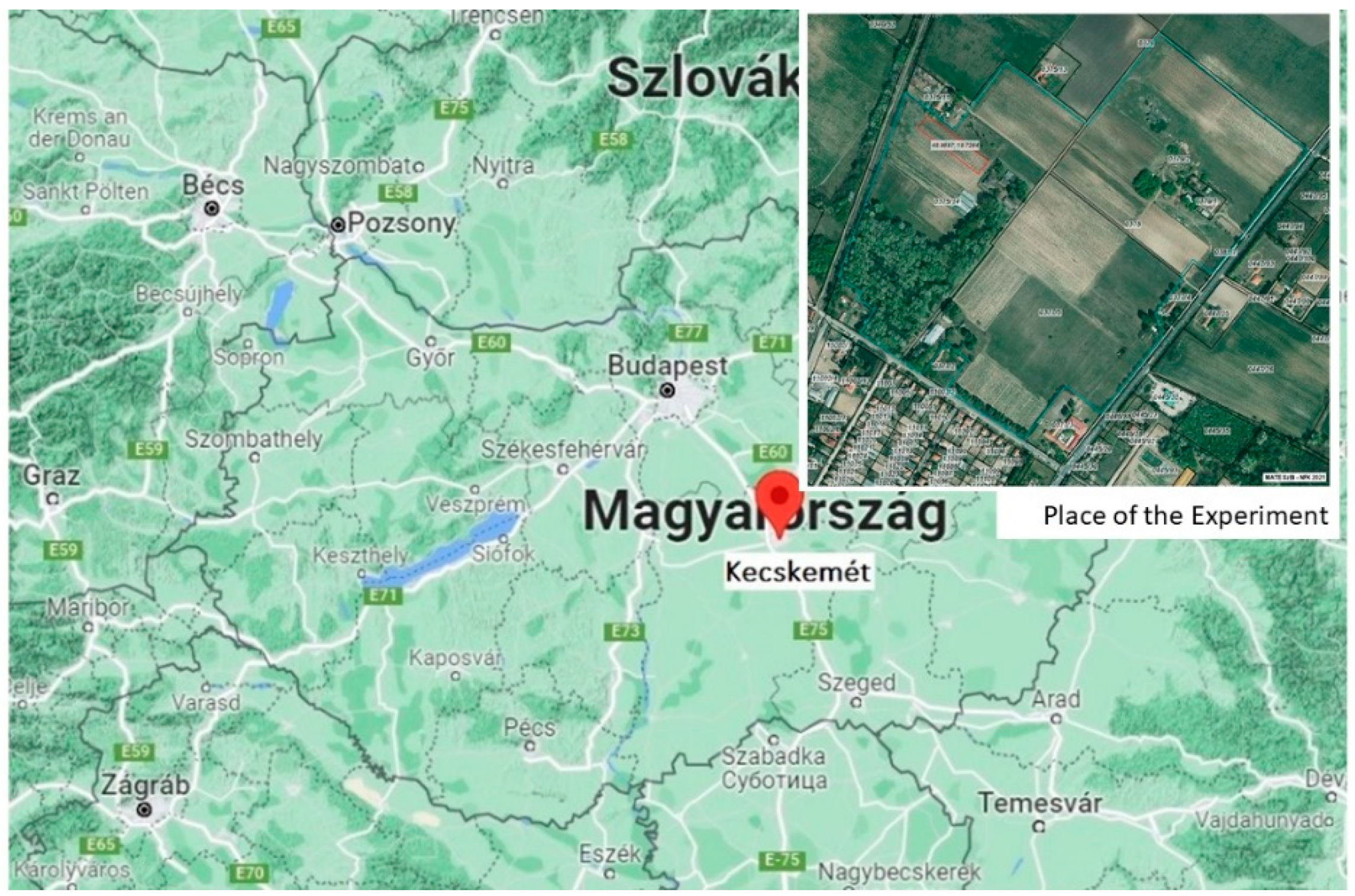 Horticulturae 08 00097 g001