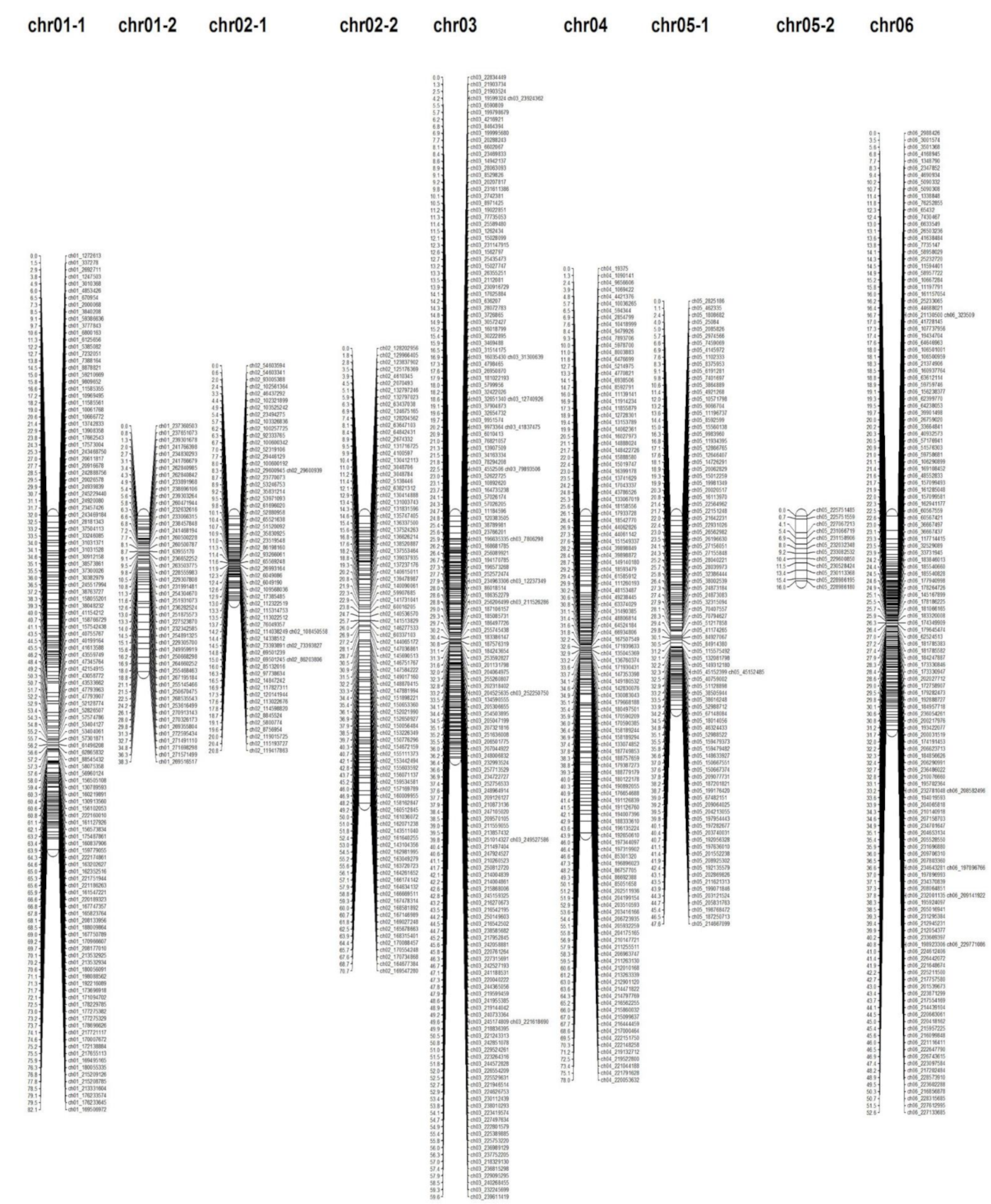 Horticulturae 08 00115 g002a