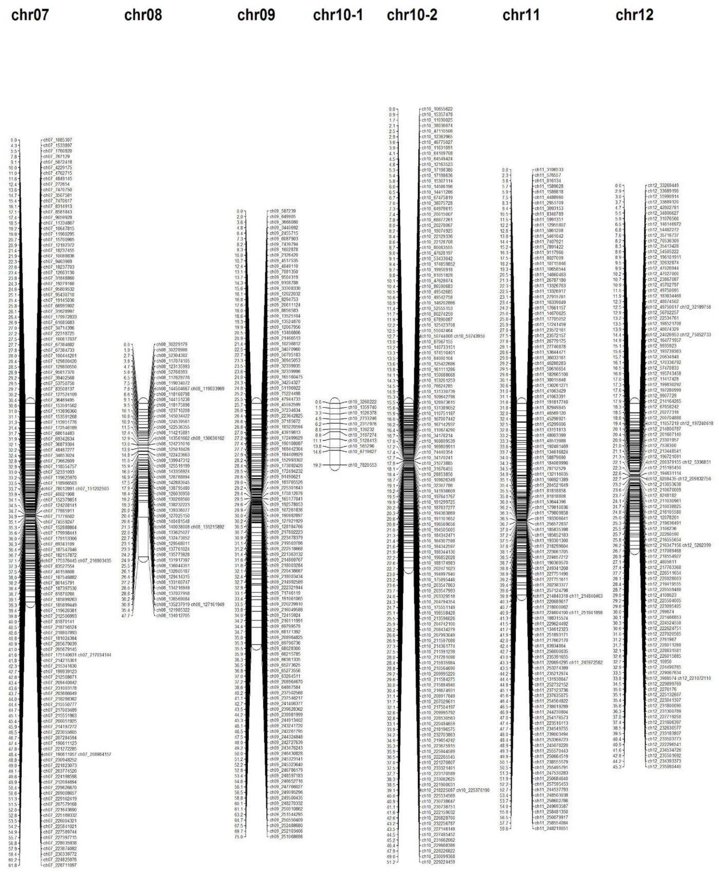 Horticulturae 08 00115 g002b