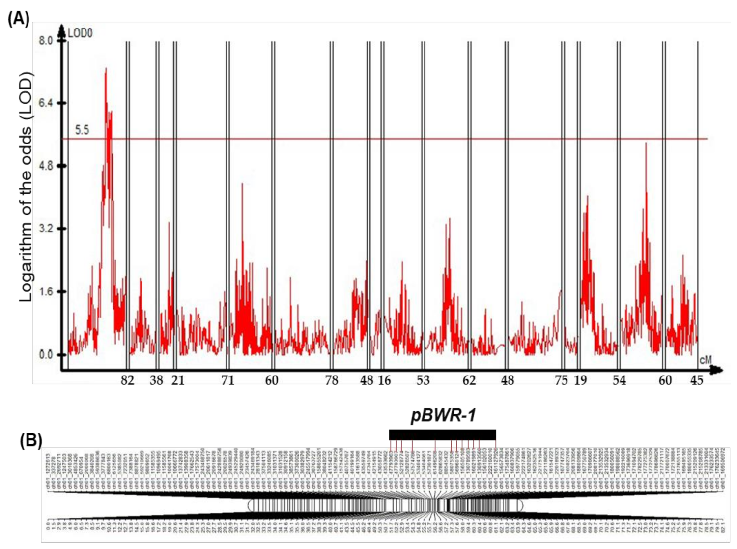 Horticulturae 08 00115 g003