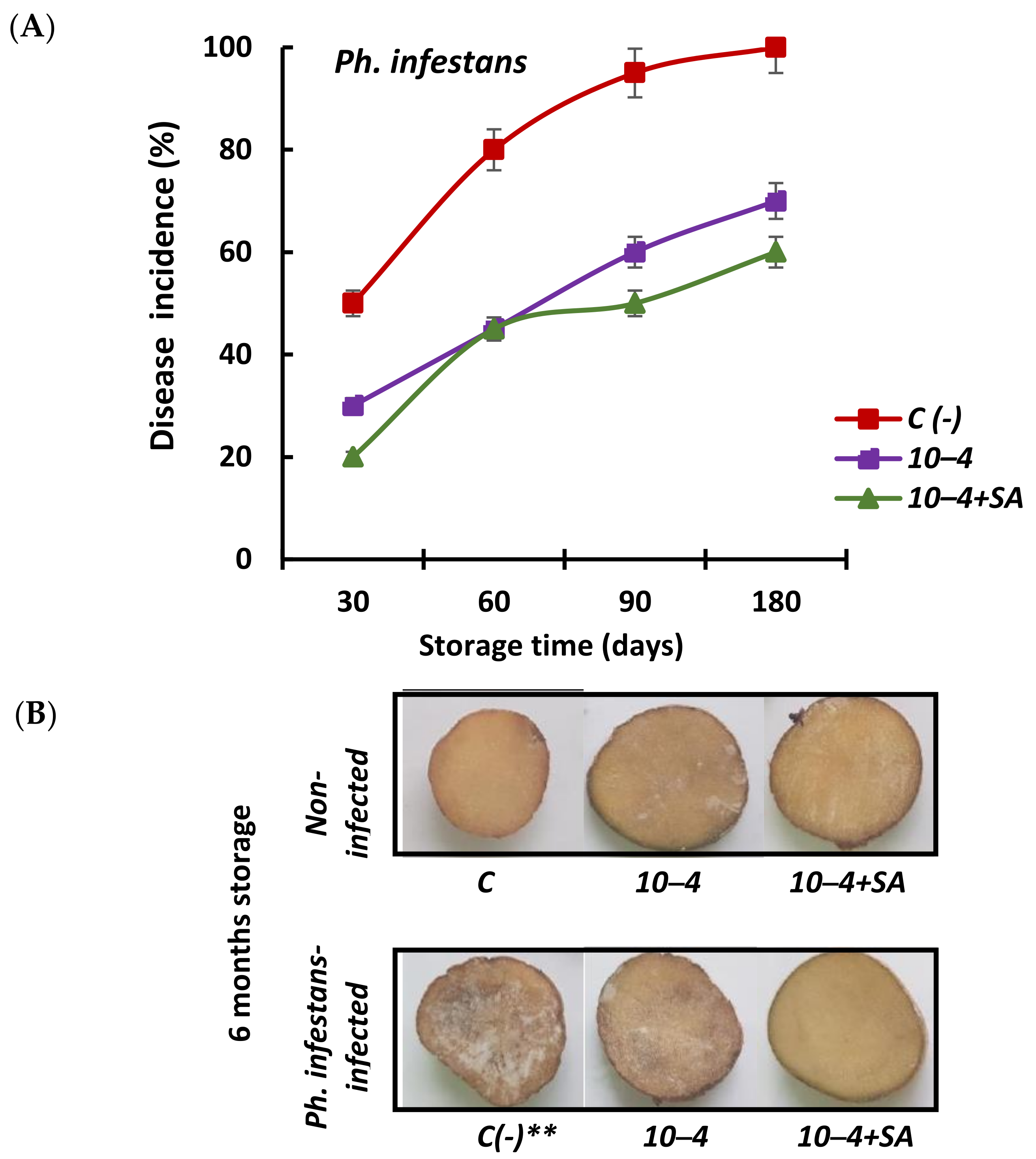 Horticulturae 08 00117 g001