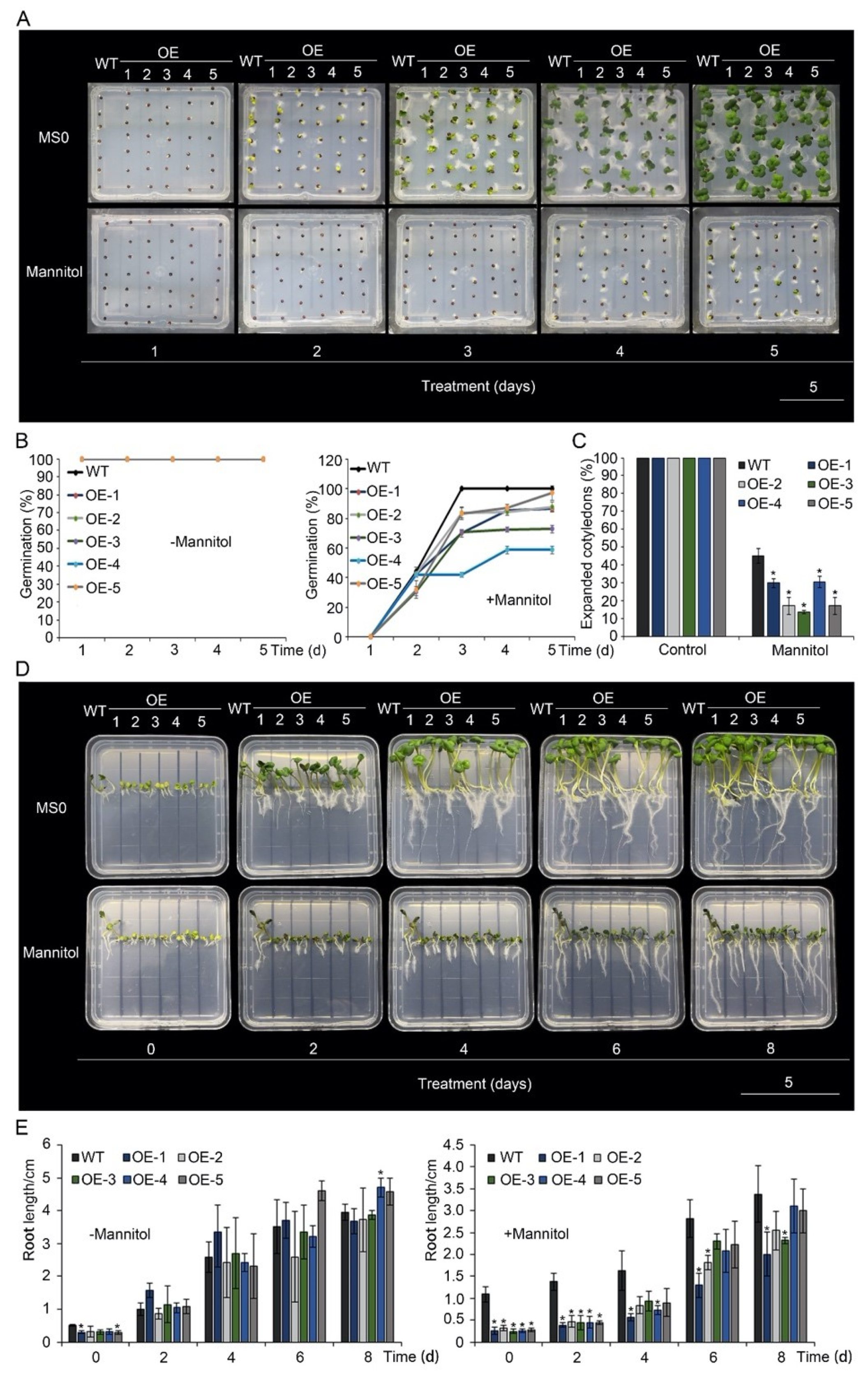 Horticulturae 08 00131 g002