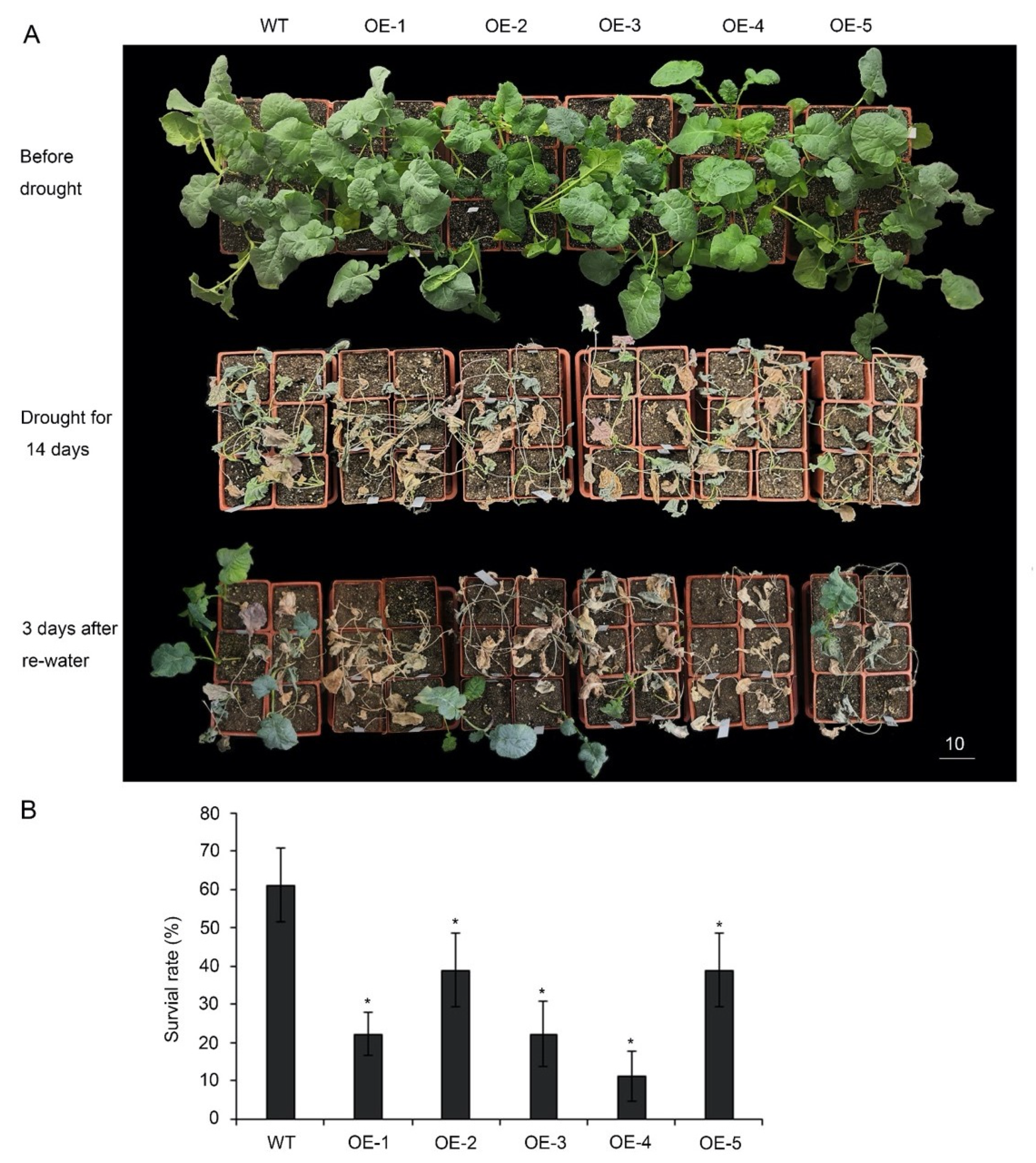 Horticulturae 08 00131 g004
