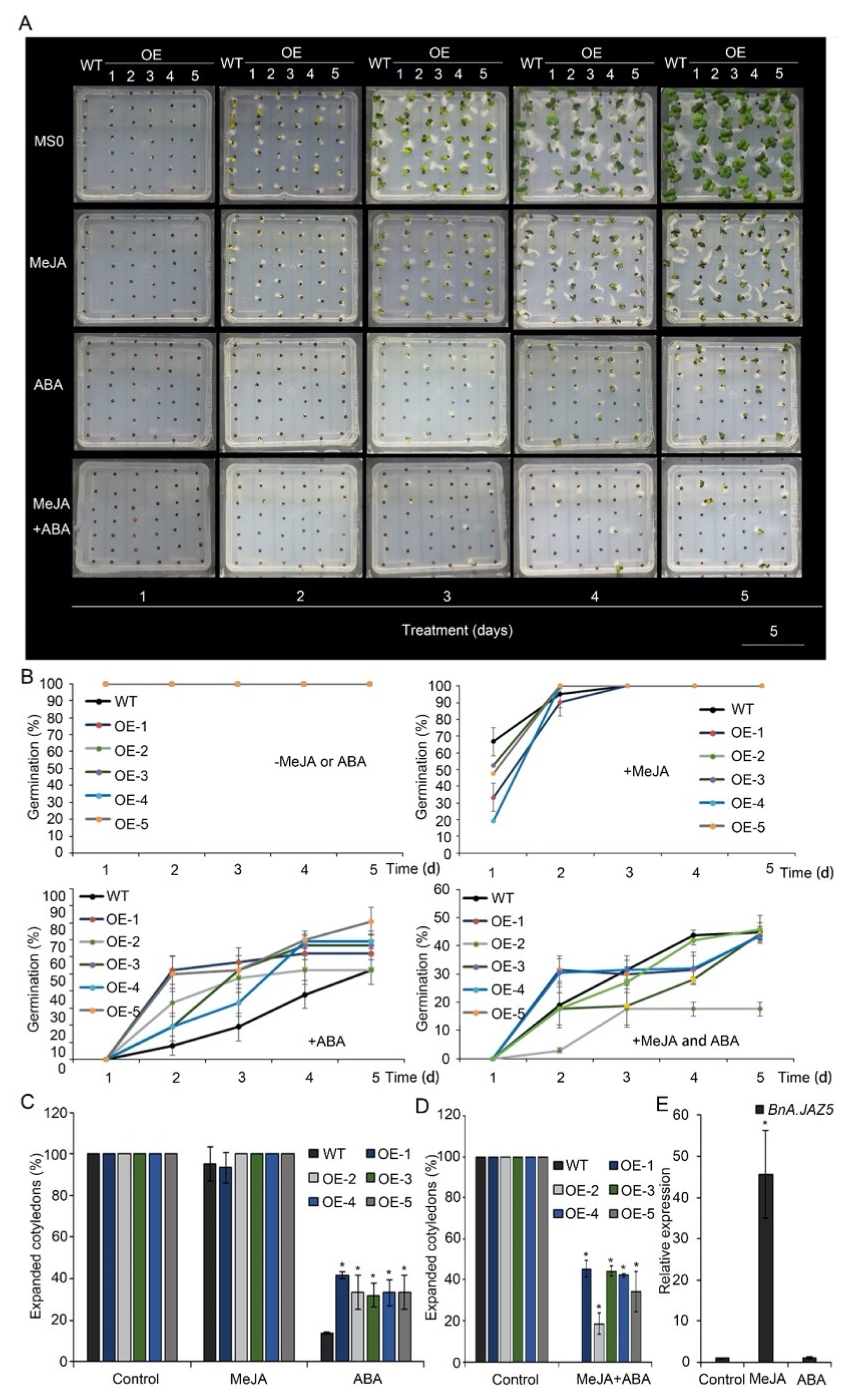 Horticulturae 08 00131 g005