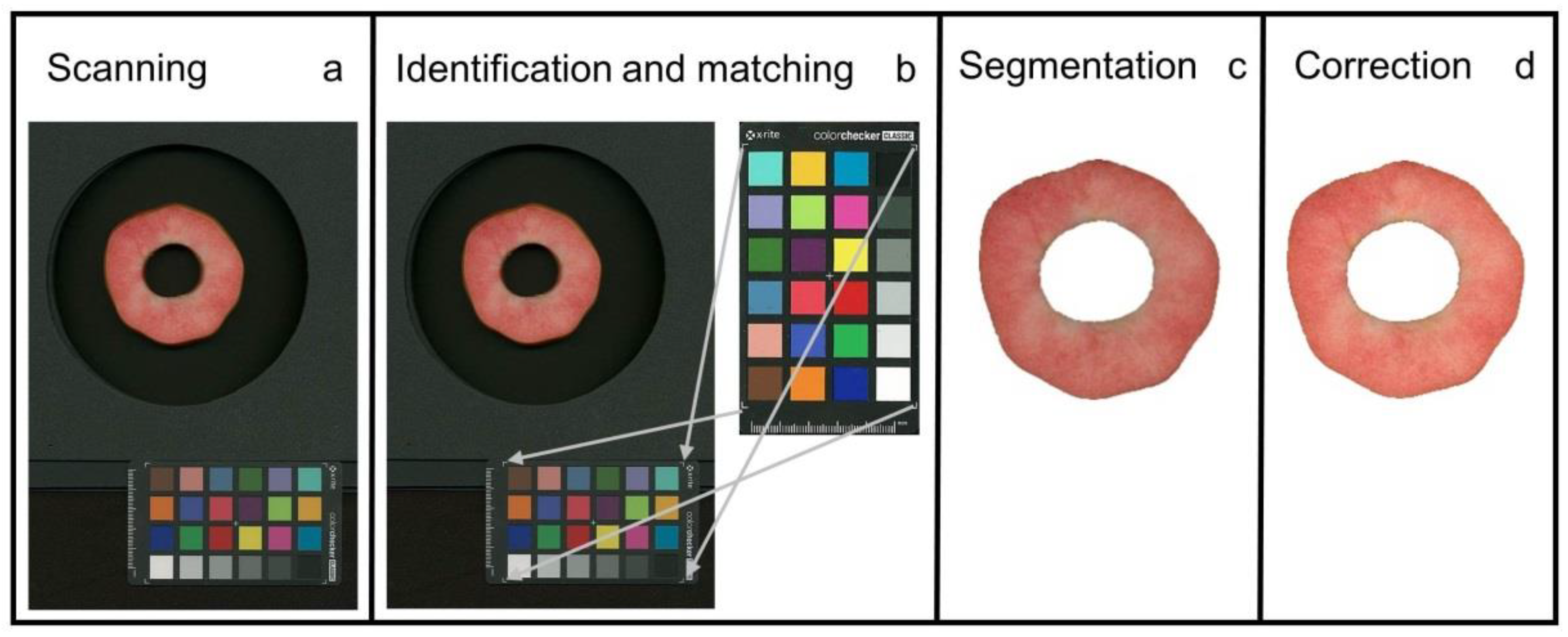 Horticulturae 08 00145 g001