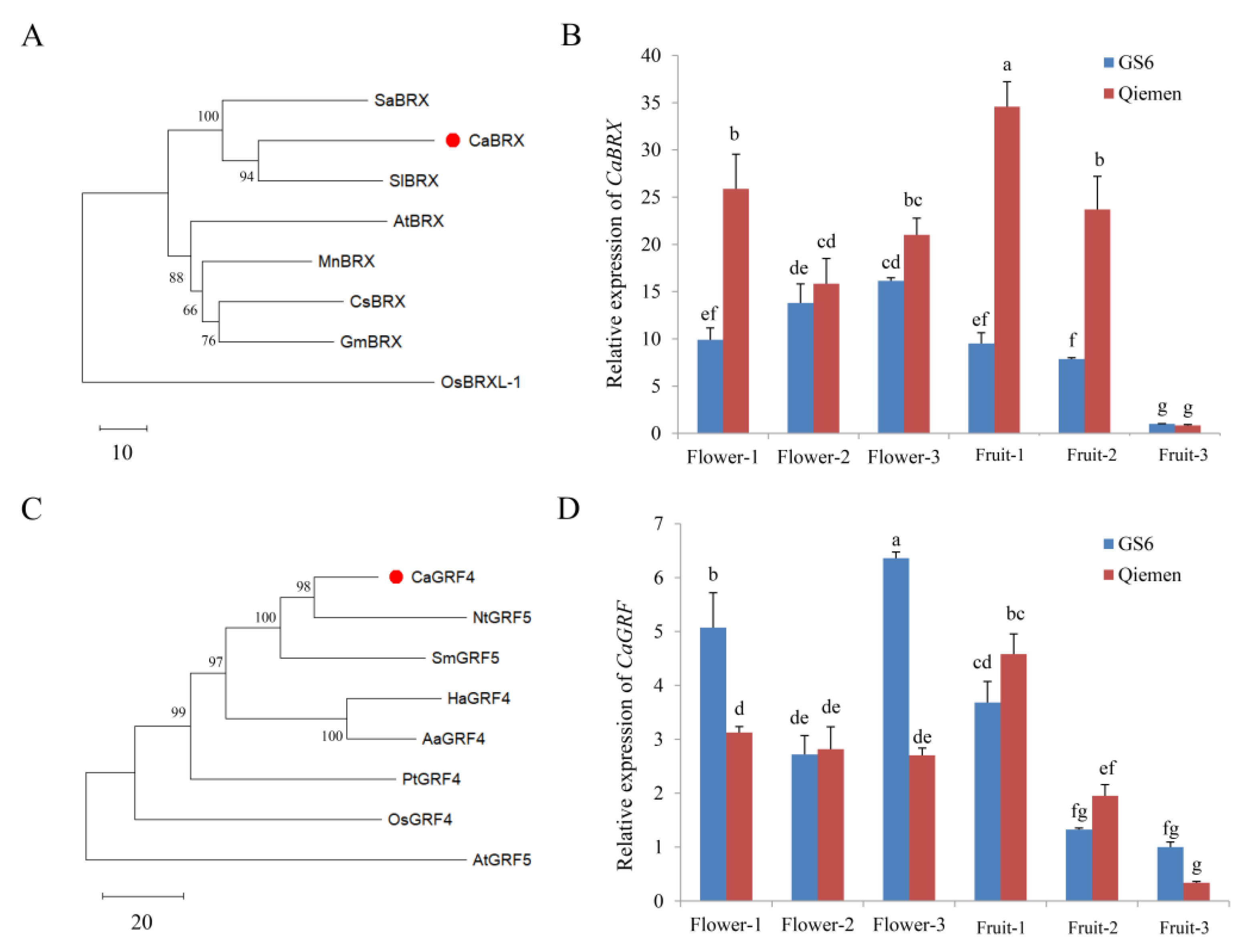 Horticulturae 08 00146 g004