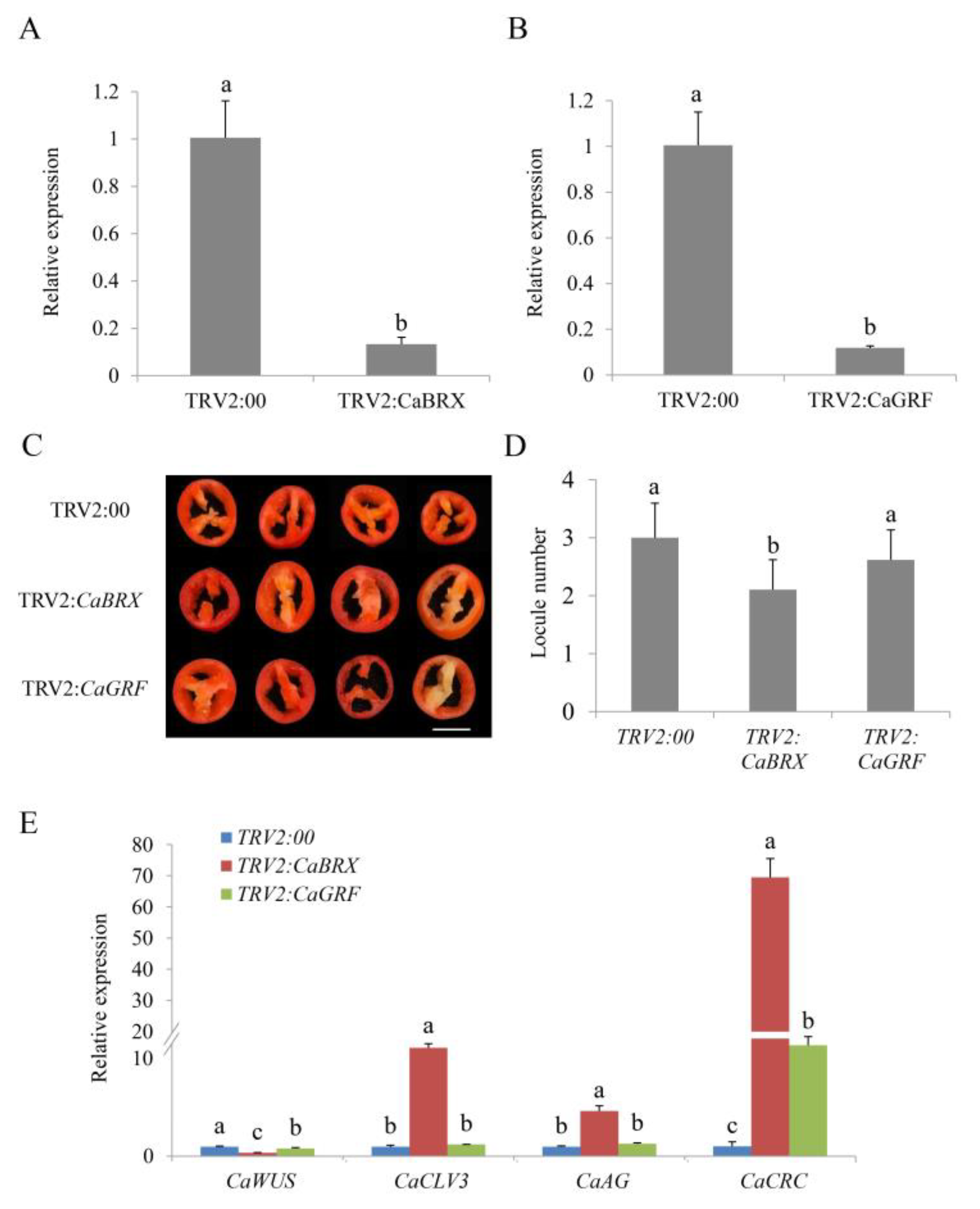 Horticulturae 08 00146 g005