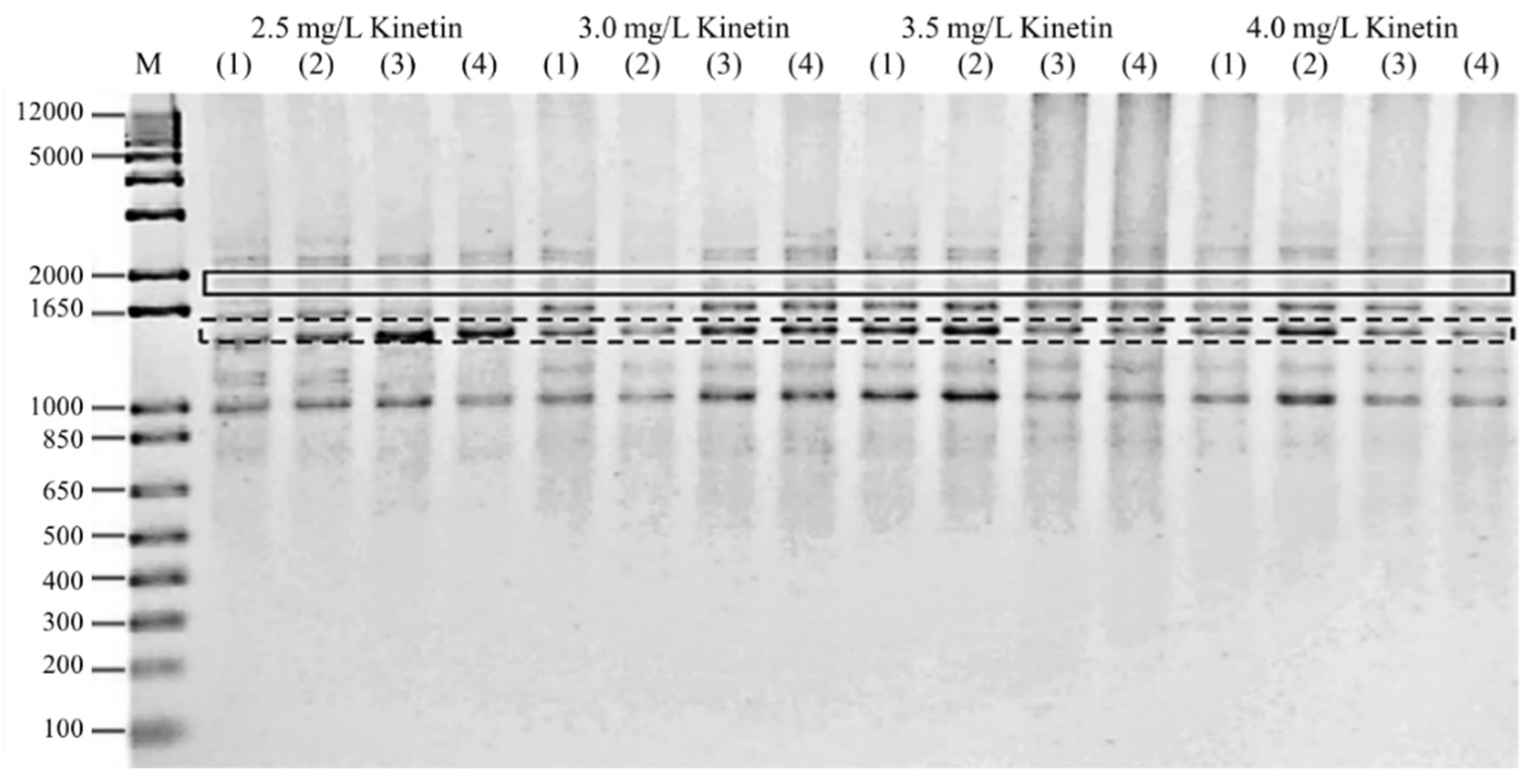 Horticulturae 08 00153 g004